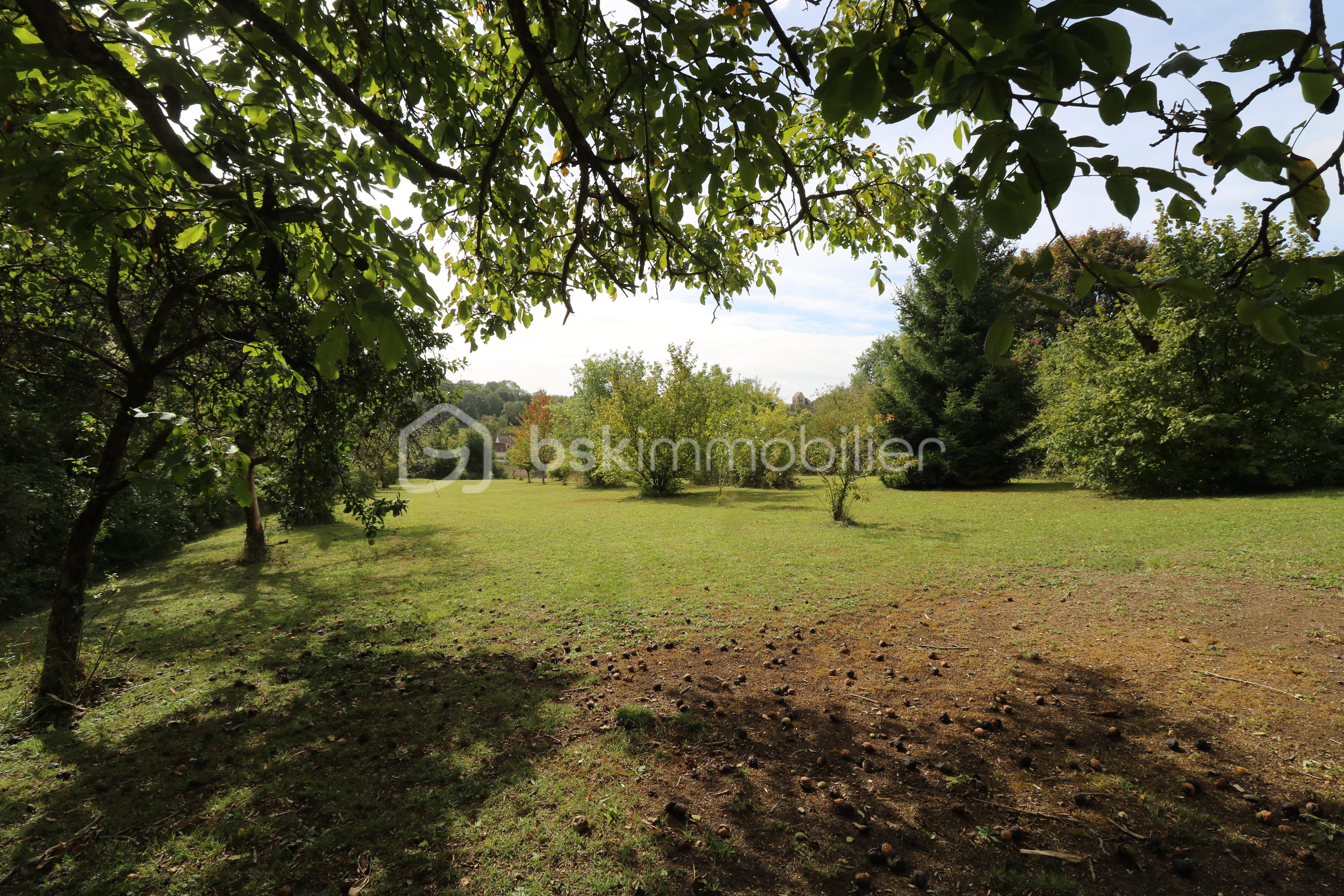 Terrain de 3 550 m² - IMG_5052.JPG