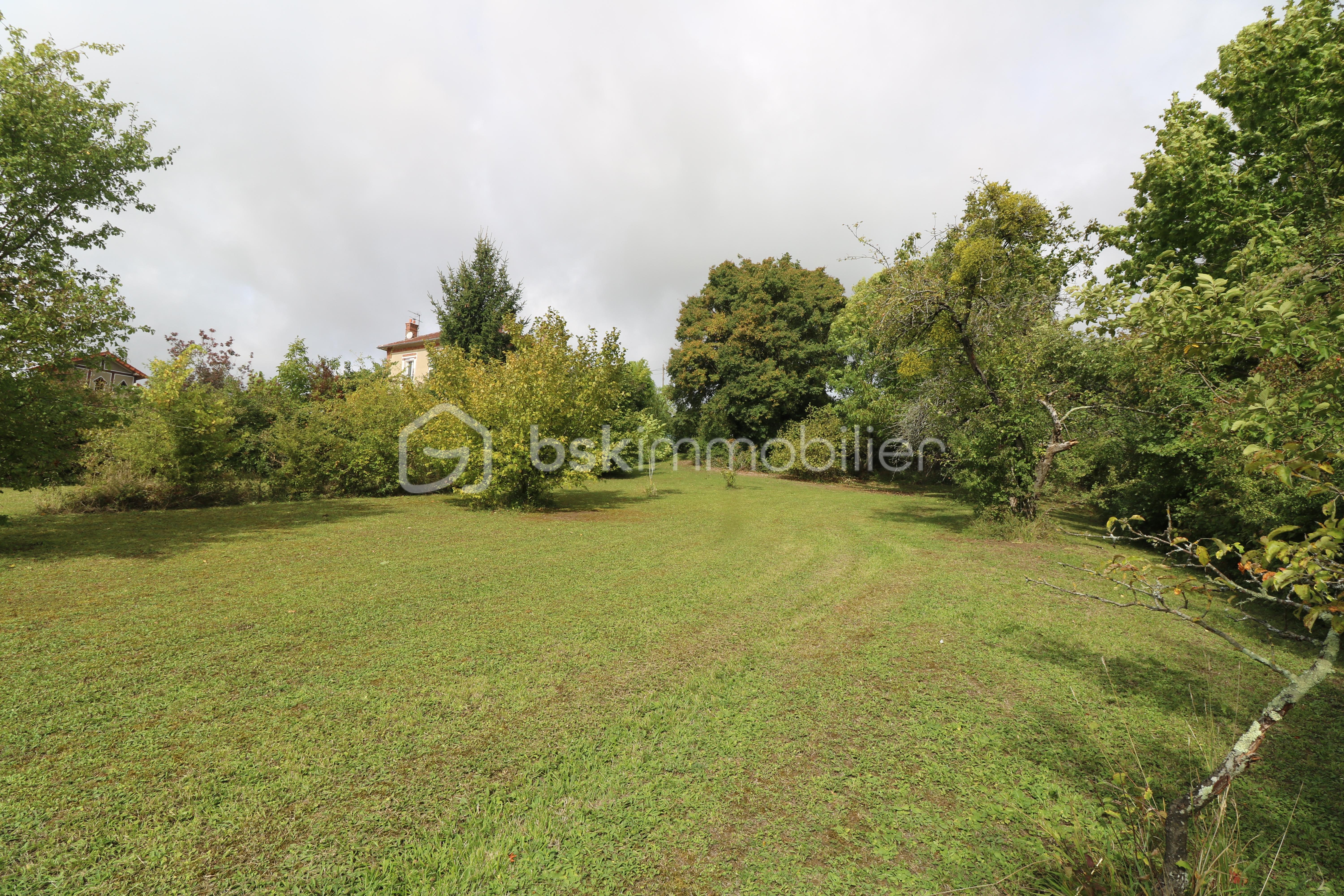 Terrain de 3 550 m² - IMG_5060.JPG