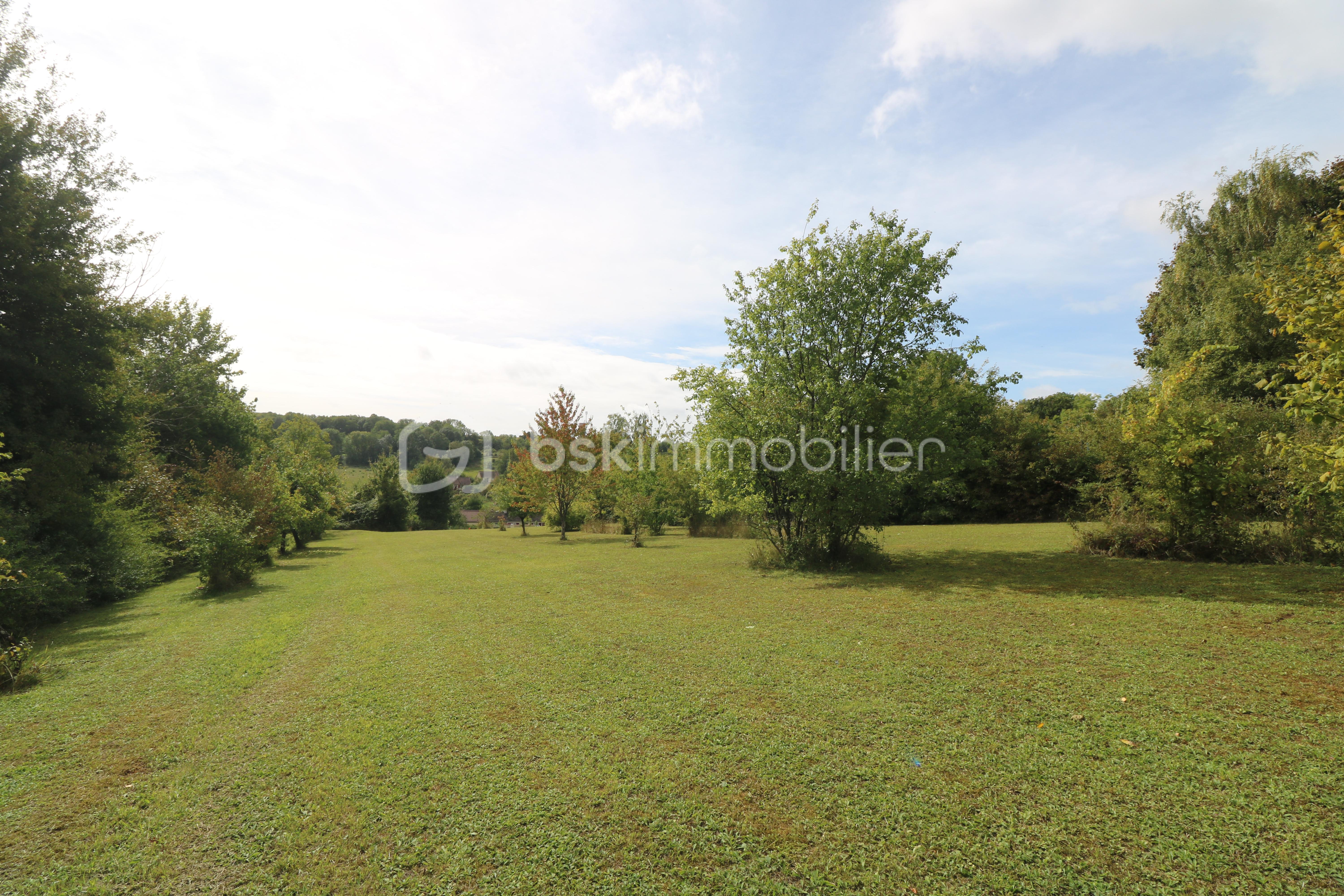 Terrain de 3 550 m² - IMG_5059.JPG