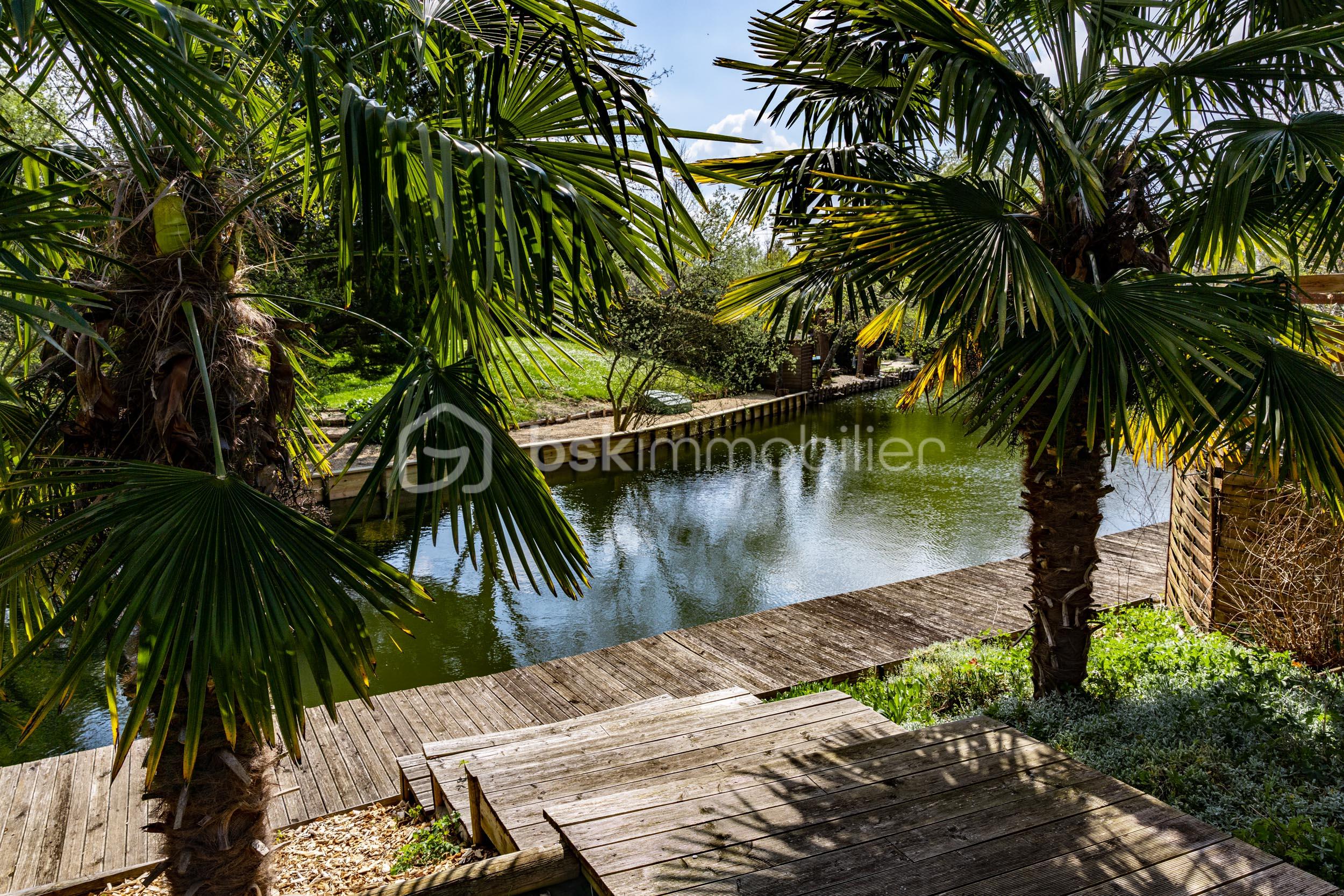 0L0A9982-HDR.jpg