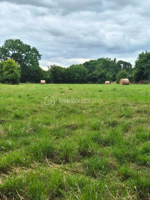 Corps de ferme de 70 m² - paturage  11P.jpg