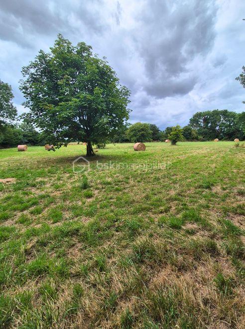 Corps de ferme de 70 m² - paturage 12P.jpg