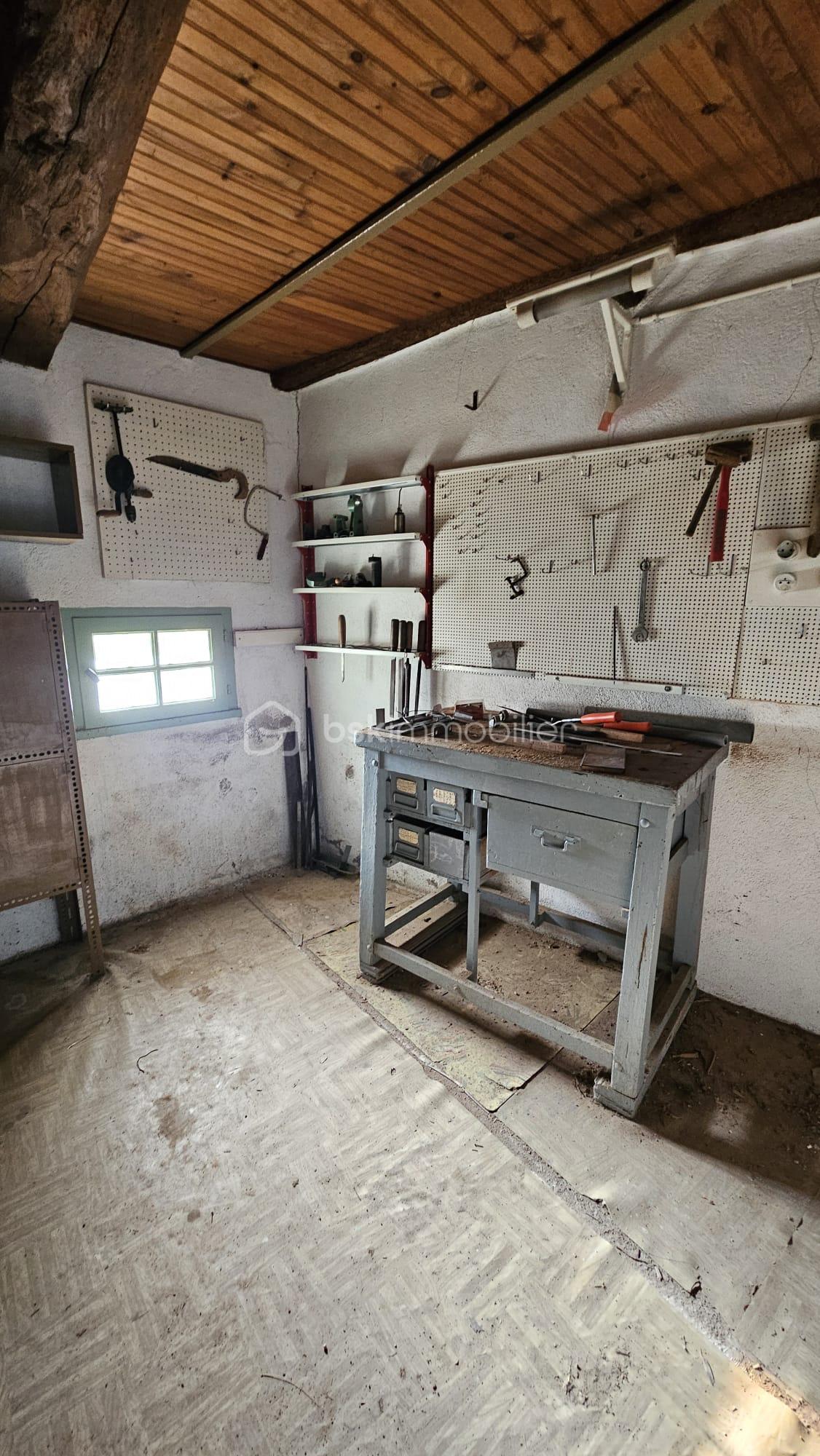 WhatsApp Image 2026-03-05 at 08.56.43 (5).jpeg