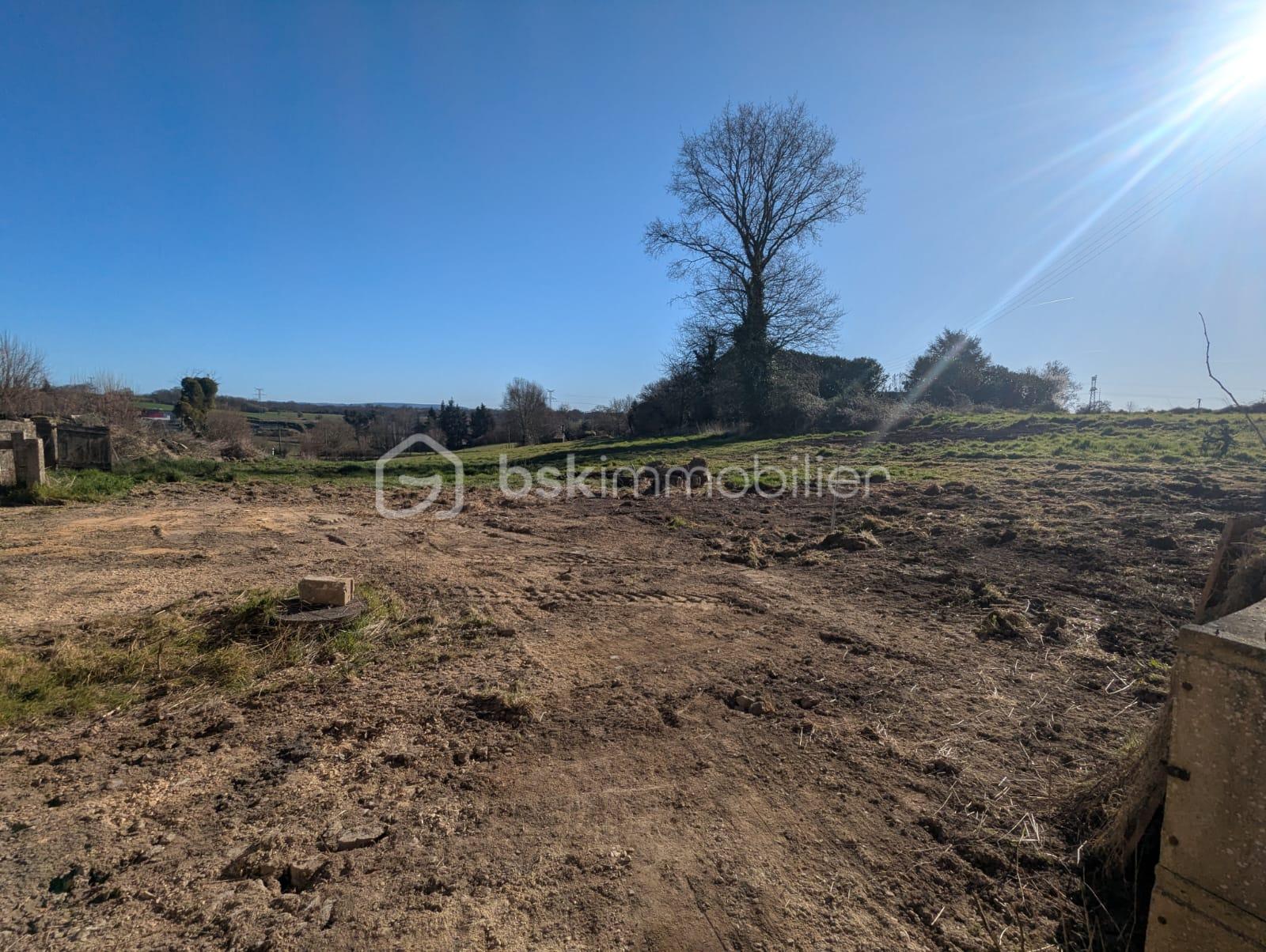 Corps de ferme de 170 m² - e6c369ef-6f29-4ccd-9075-c85442868d5f.jpeg