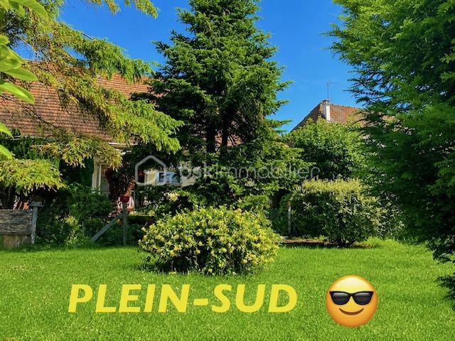 marck jardin arrière herbe verte en bas.jpeg