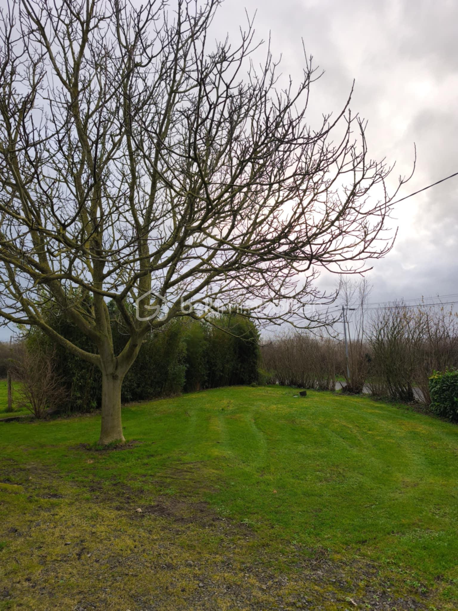 Maison ancienne de 140 m² - a9e1d7ee-9ecf-402d-9efe-32d99134dc1d.jpg