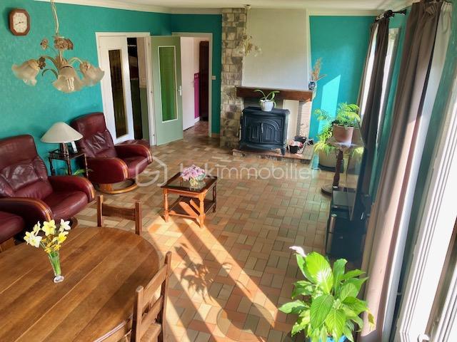 viviane salon de l'angle jardin.jpeg