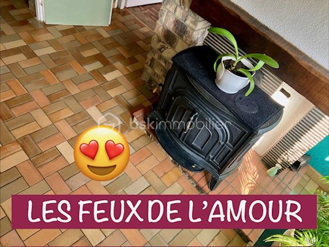 viviane les feux de l'amour.jpeg