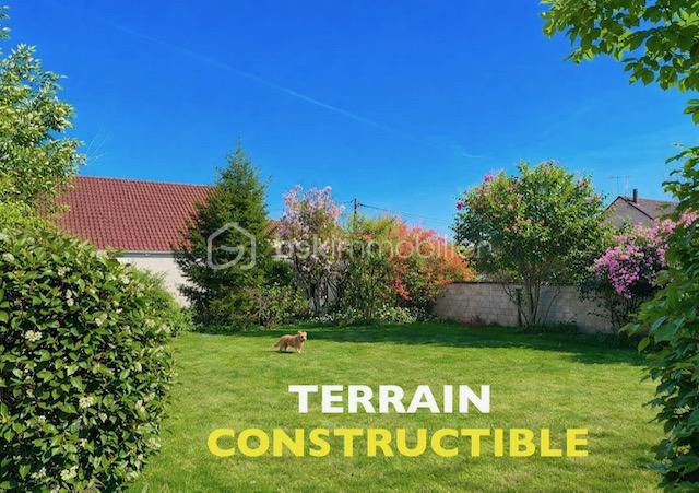 viviane terrain constructible.jpeg
