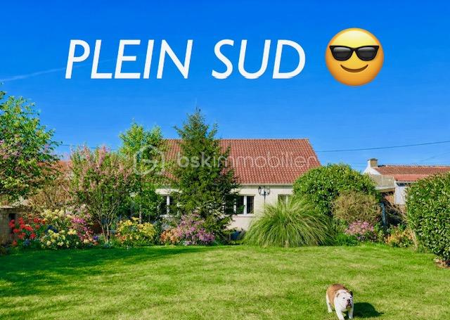 viviane jardin plein sud.jpeg