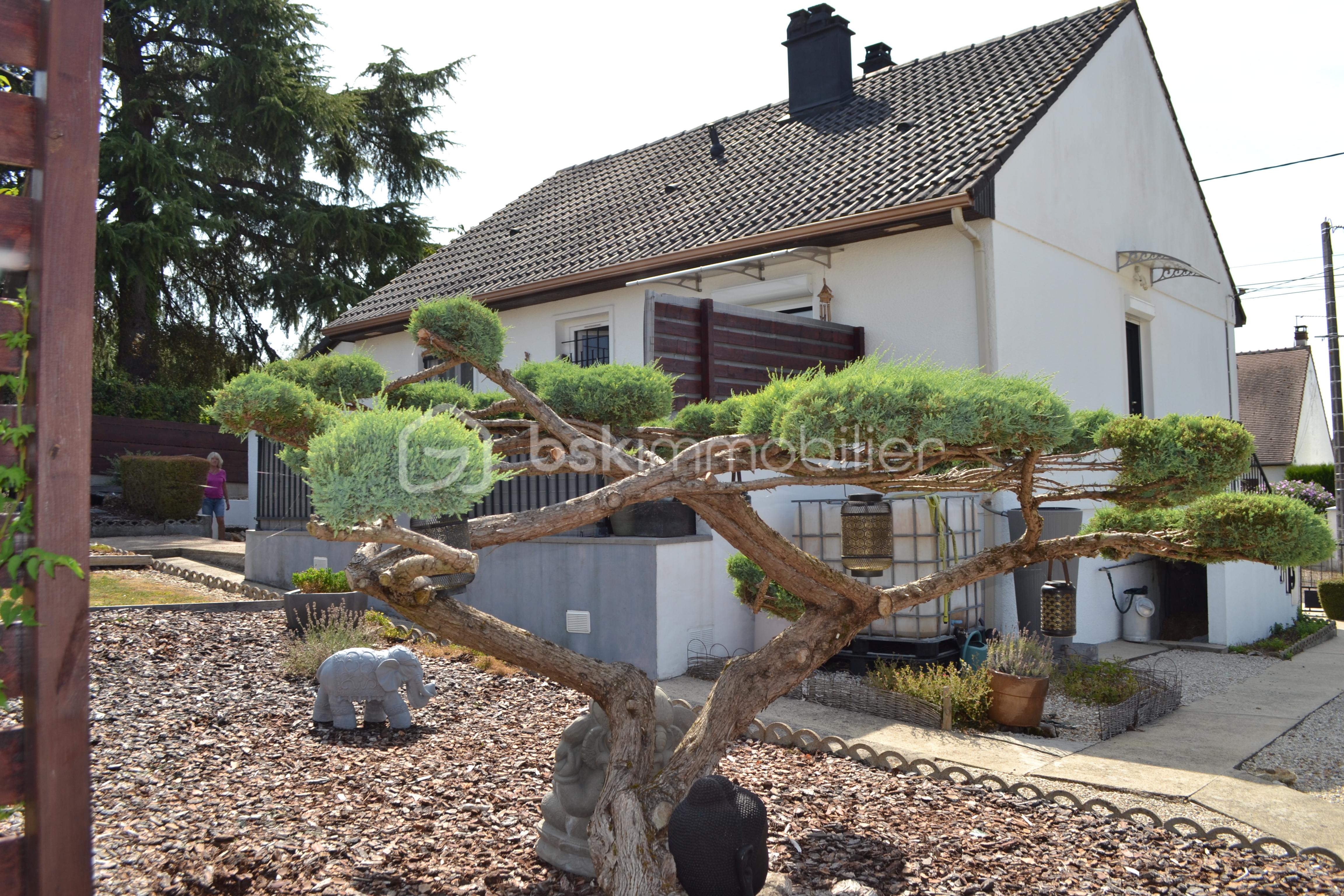 1 ARRIERE ARBRE JAP.JPG