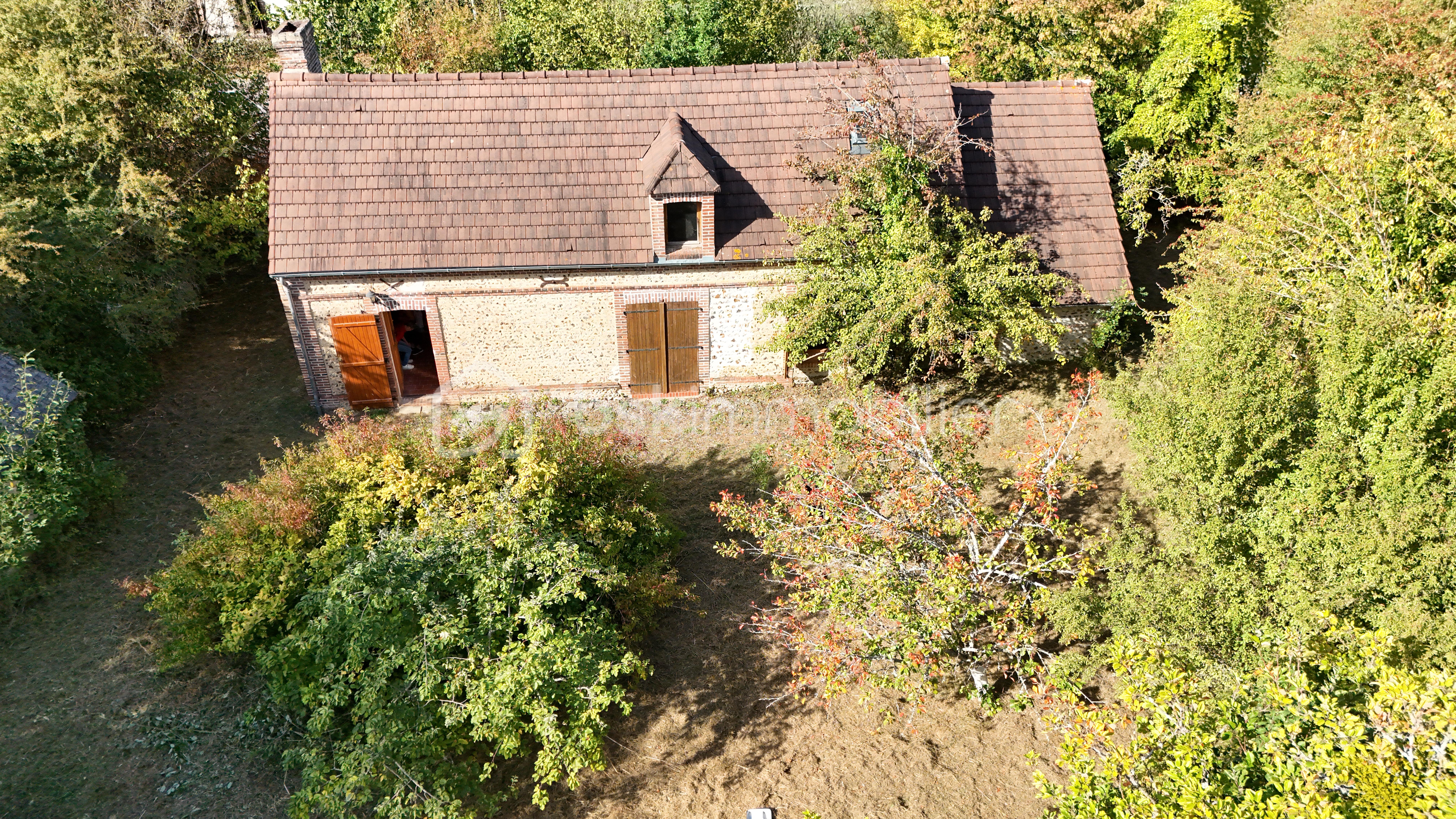DJI_20260924154252_0175_D.JPG