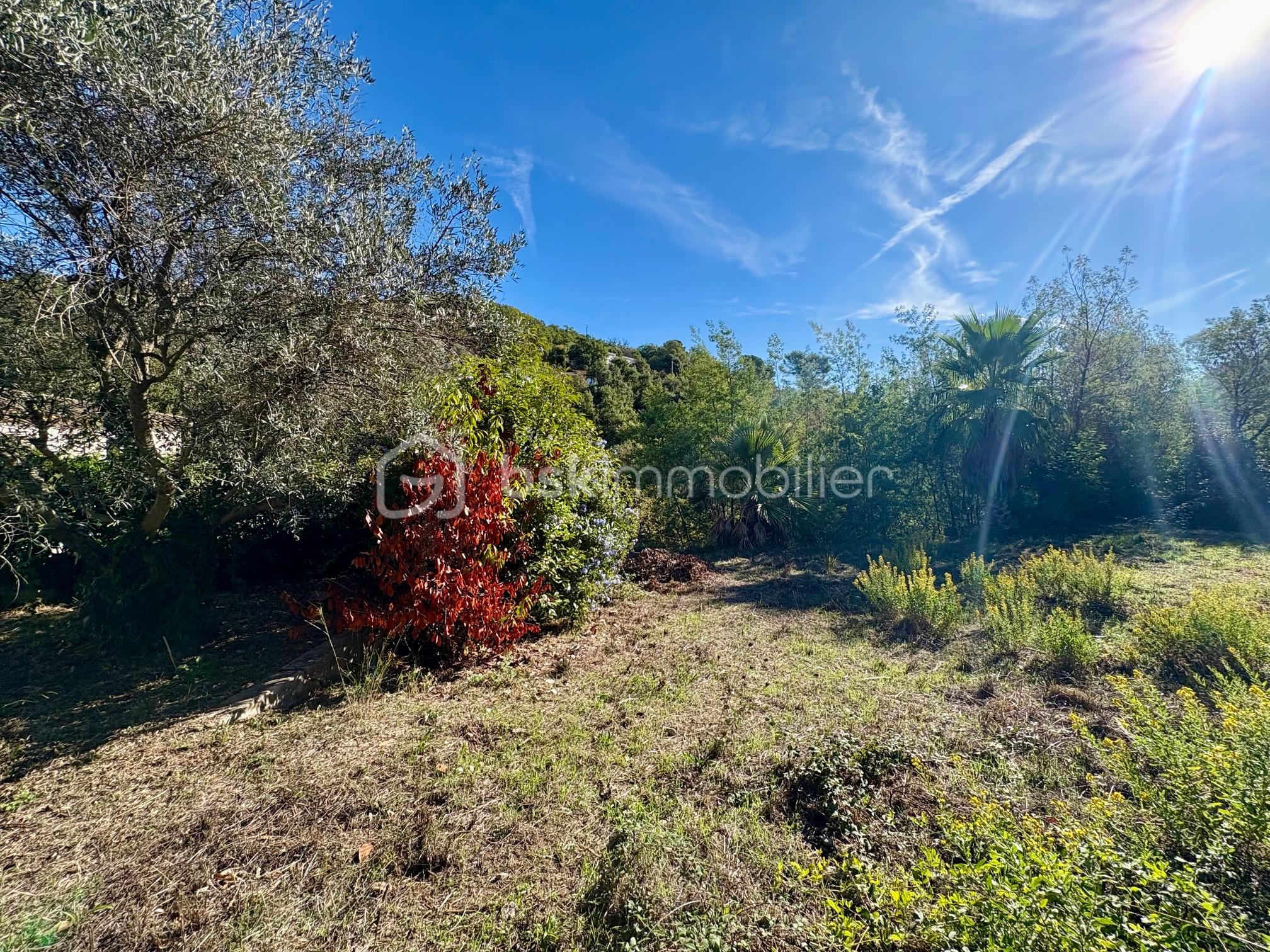 Maison traditionnelle de 225 m² - IMG_5063.jpg