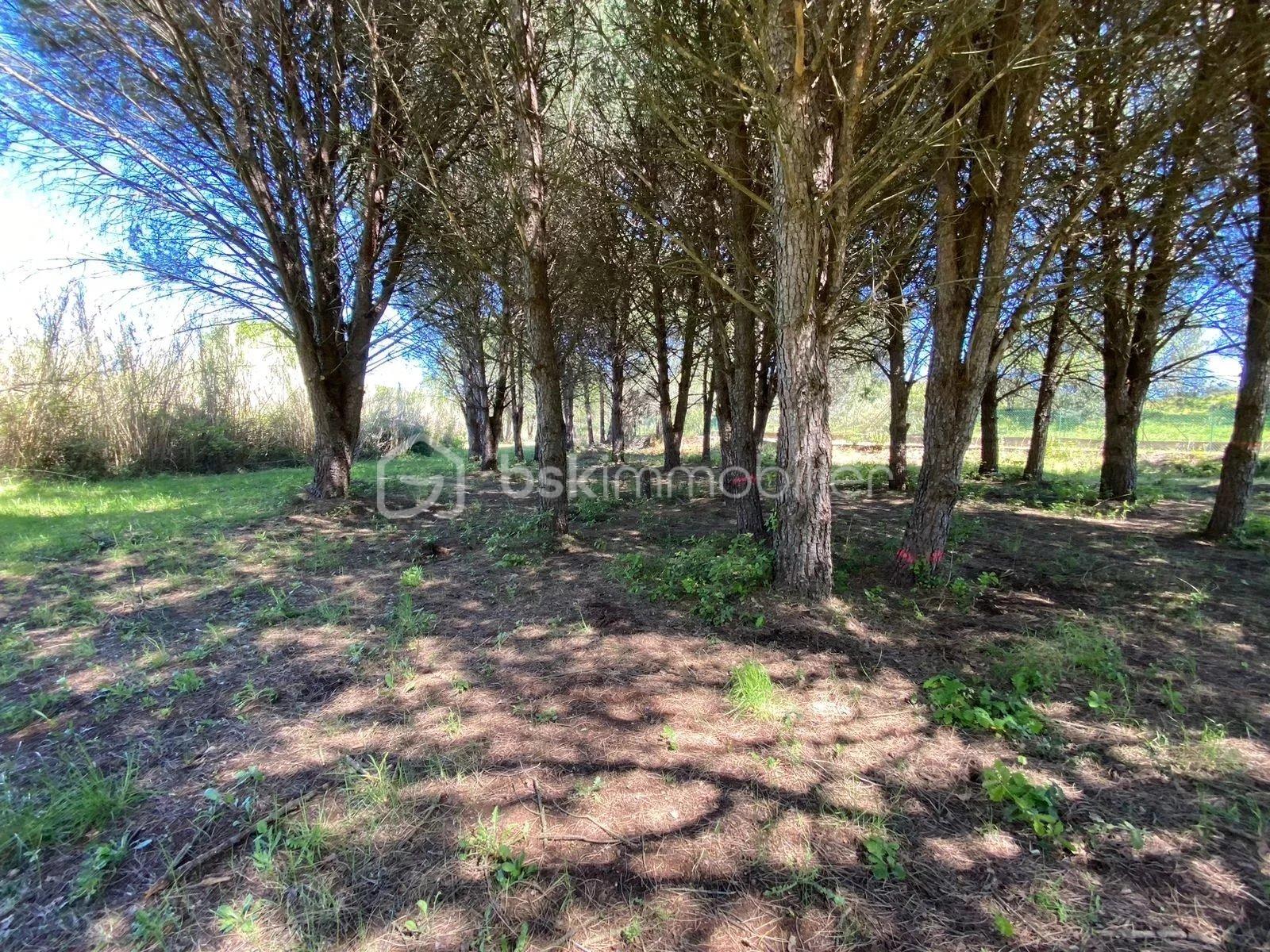 Bergerie de 138 m² - Picture-86088458-28.jpg