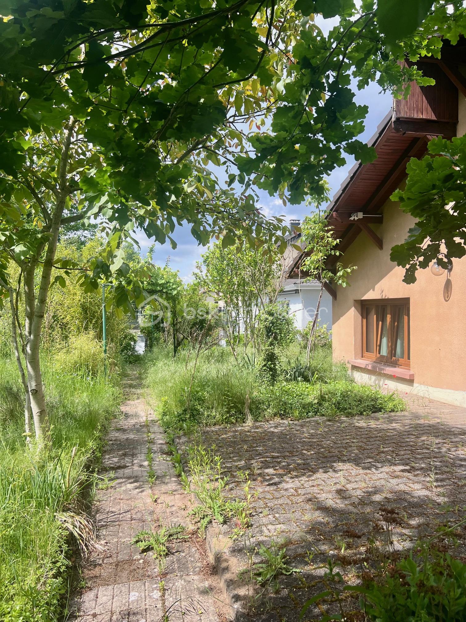 IMG_8842 copie.jpeg