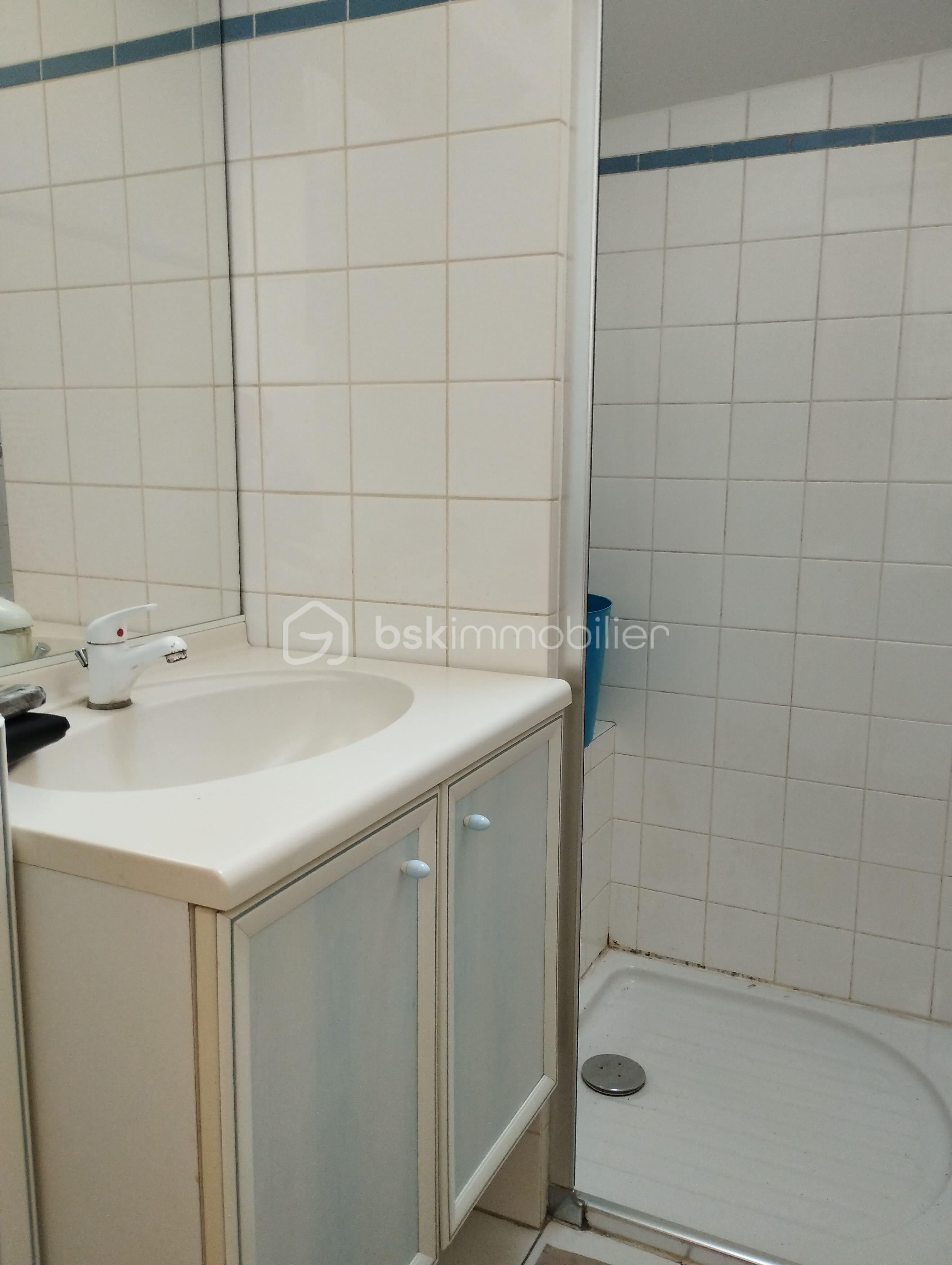 Maison de ville de 40,99 m² - Salle d'eau (2).jpg