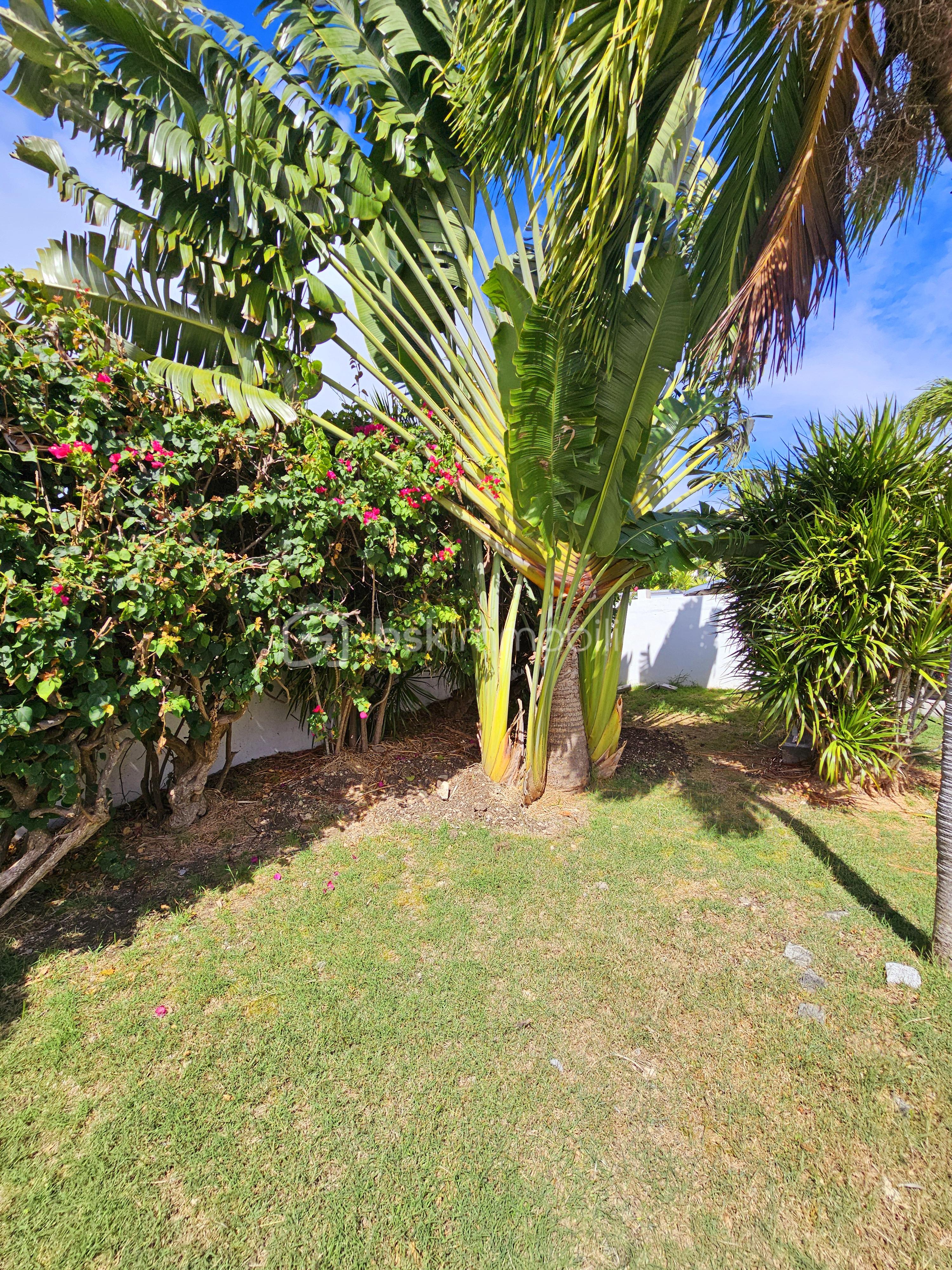 Maison de 211 m² - 20250122_113549.jpg