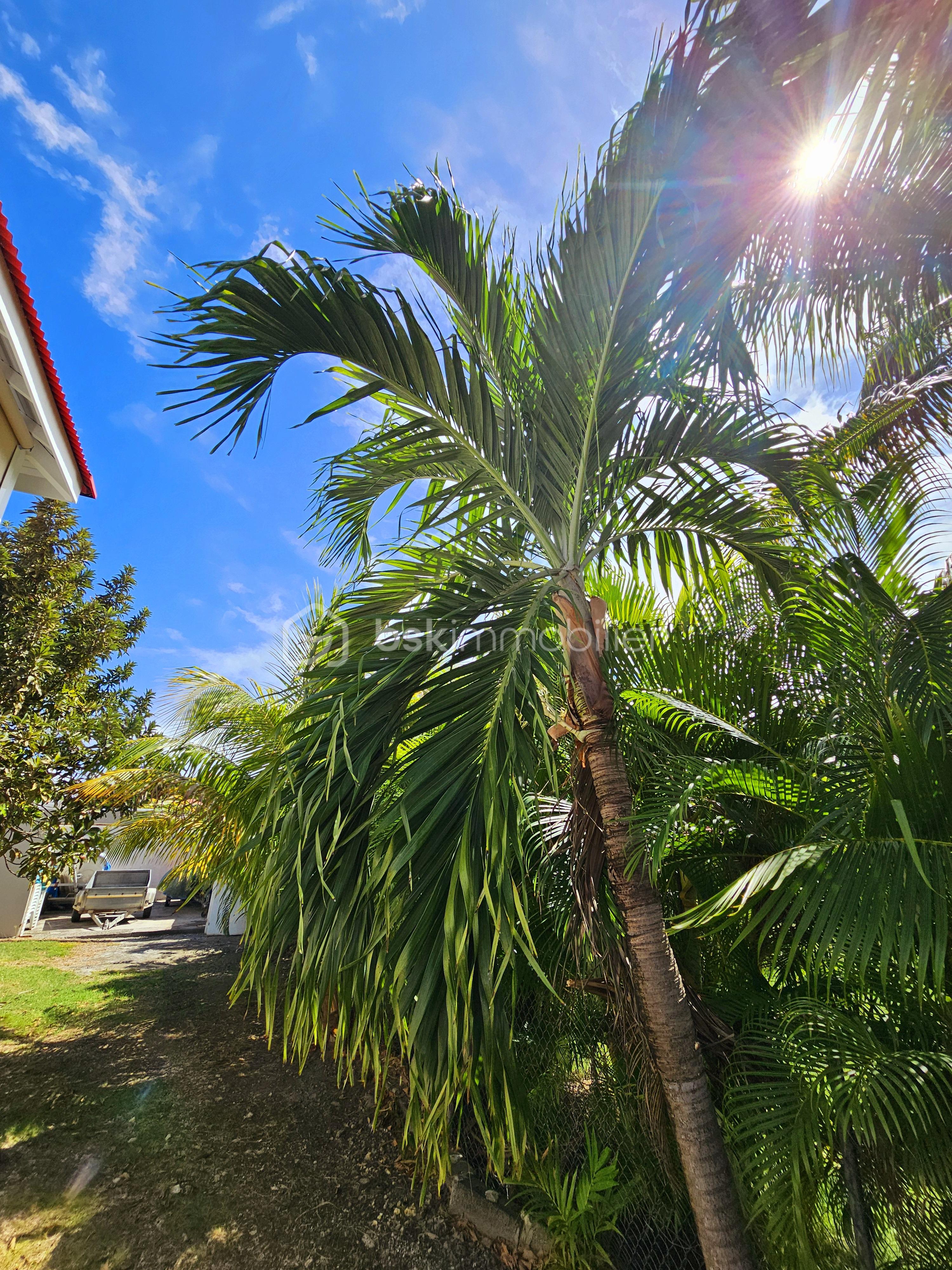 Maison de 211 m² - 20250122_113812.jpg