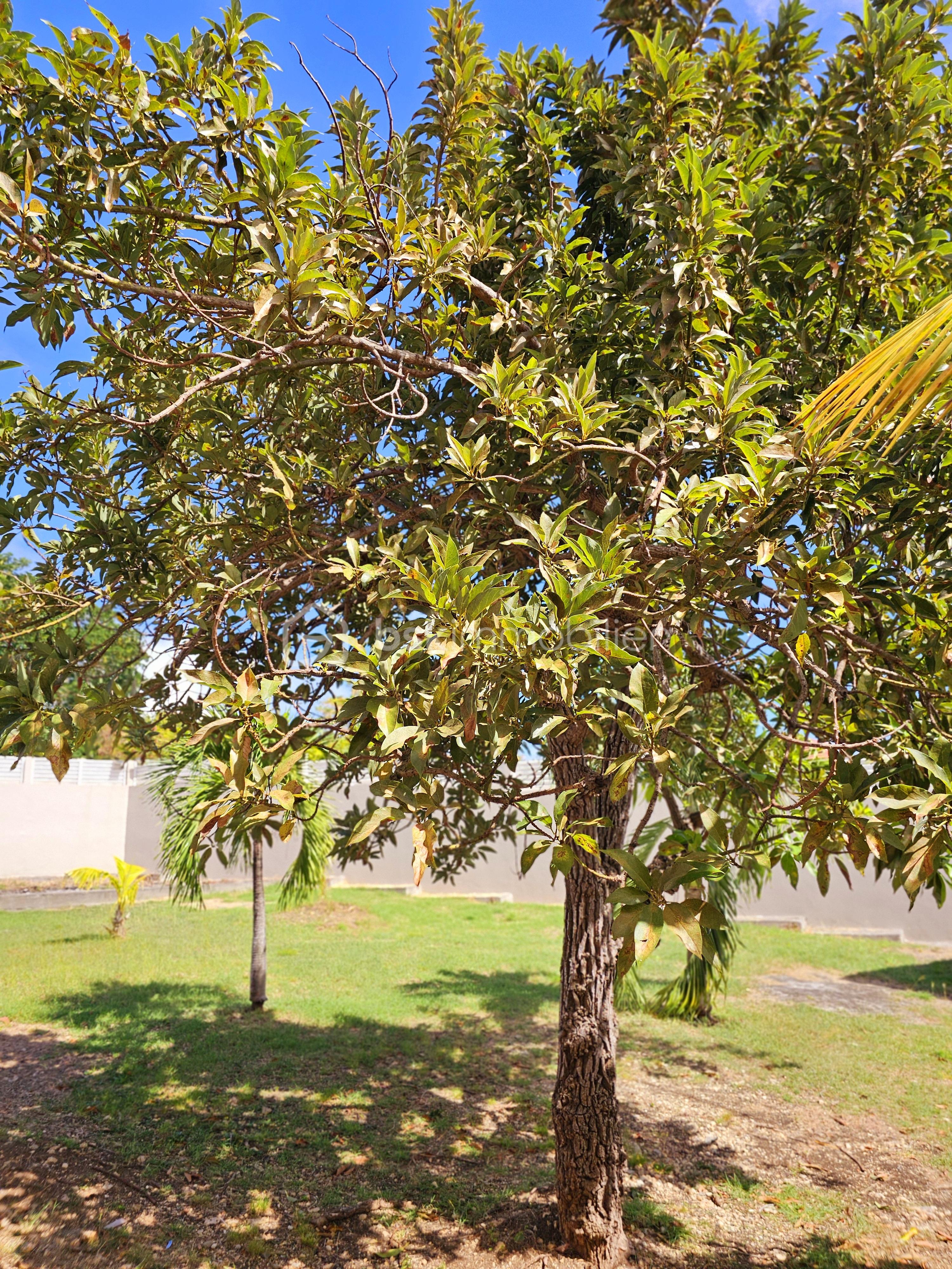 Maison de 211 m² - 20250122_113849.jpg