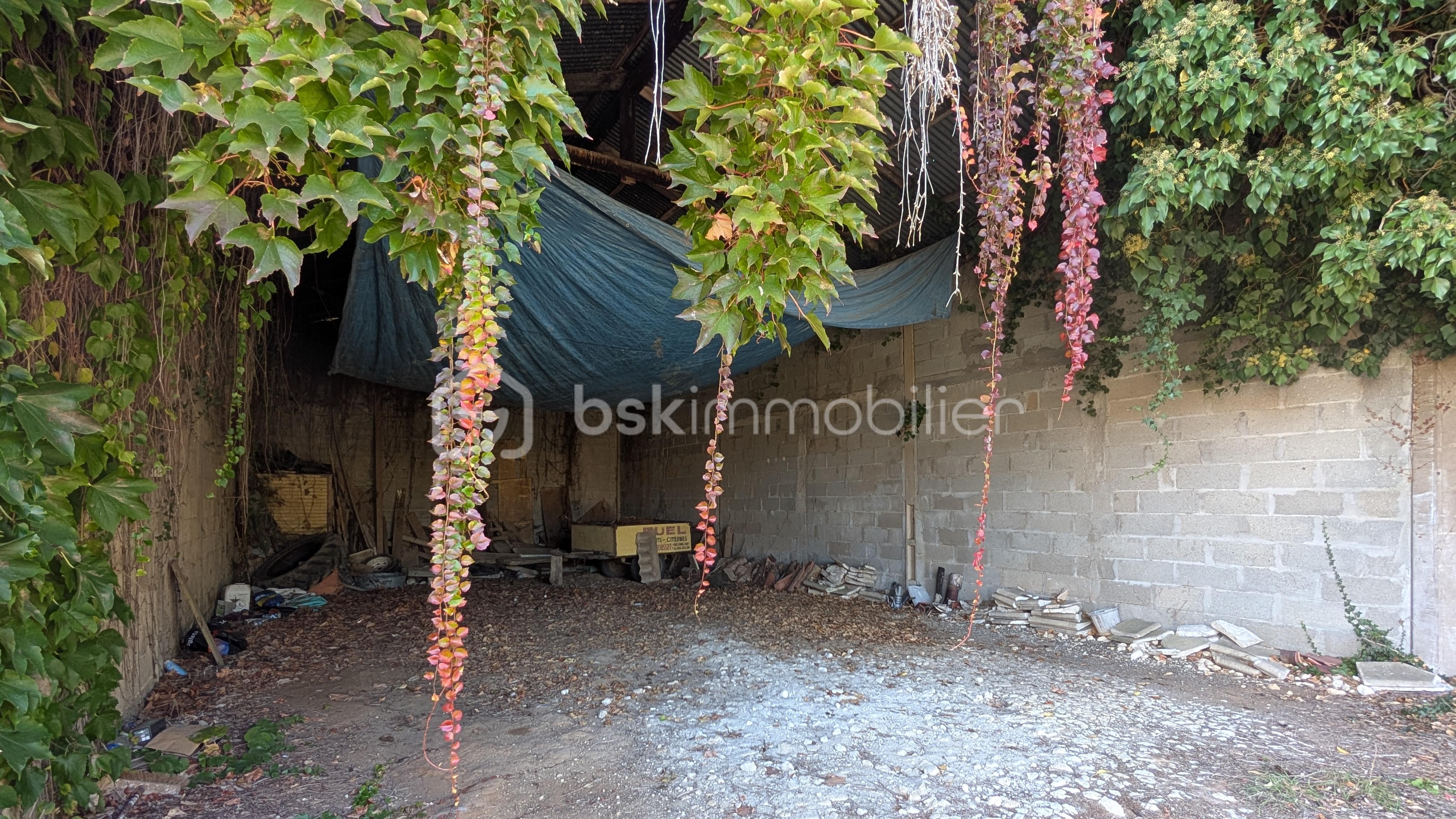 Maison de 232 m² - PXL_20251016_145355934.jpg