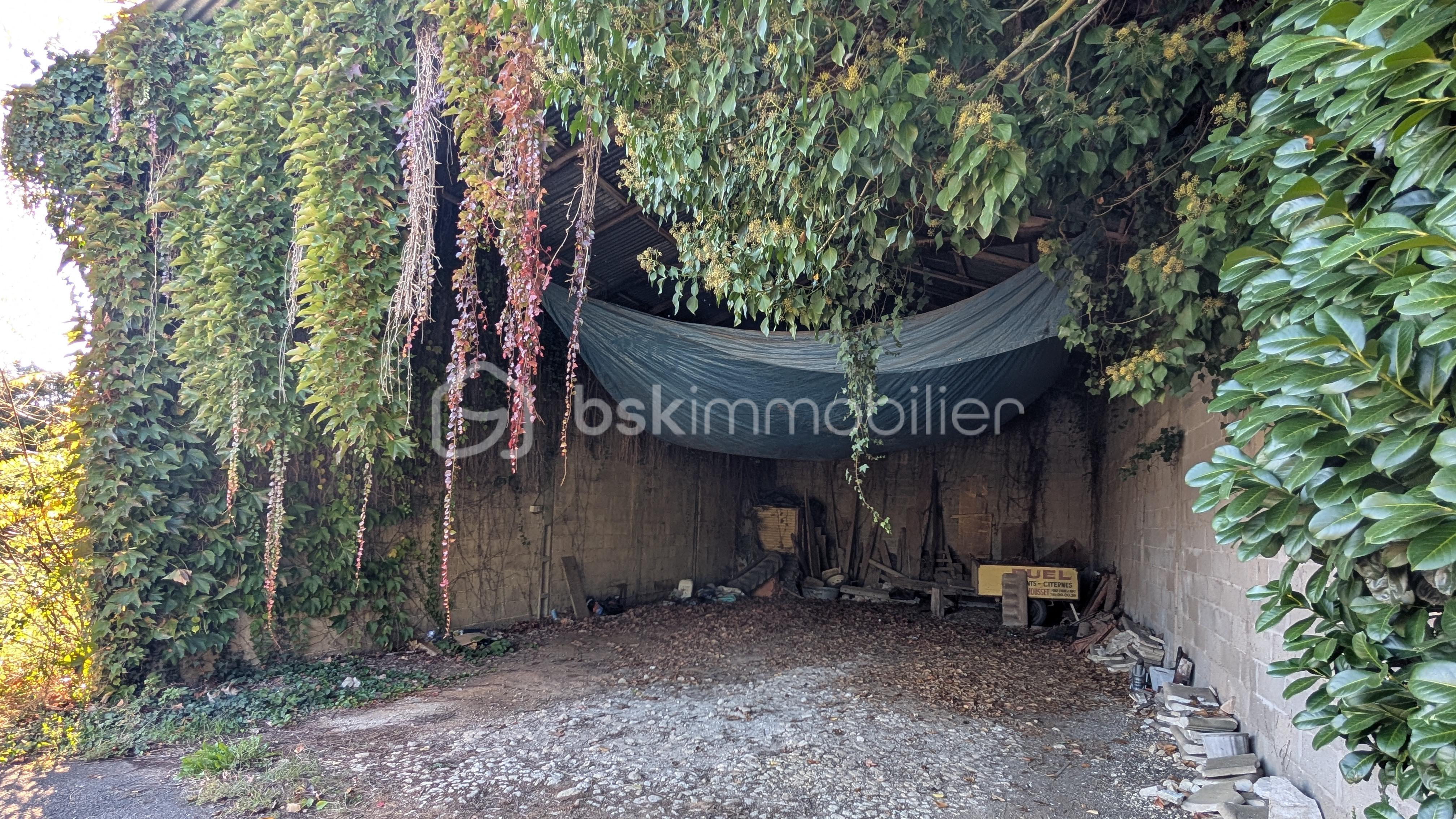 Maison de 232 m² - PXL_20251016_145409817.jpg