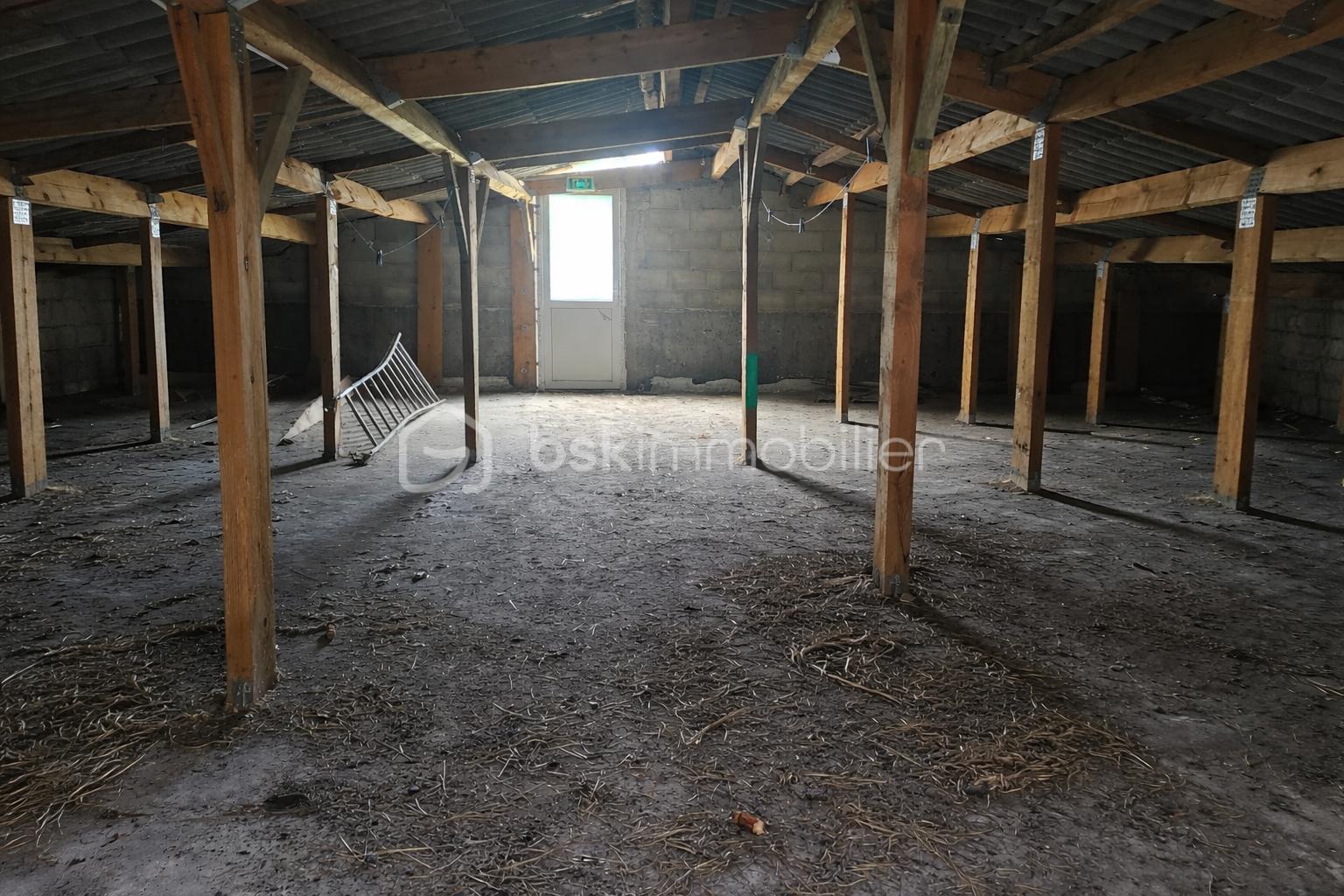 ChatGPT Image 3 mars 2026, 19_55_34.png