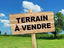 téléchargement.jpg