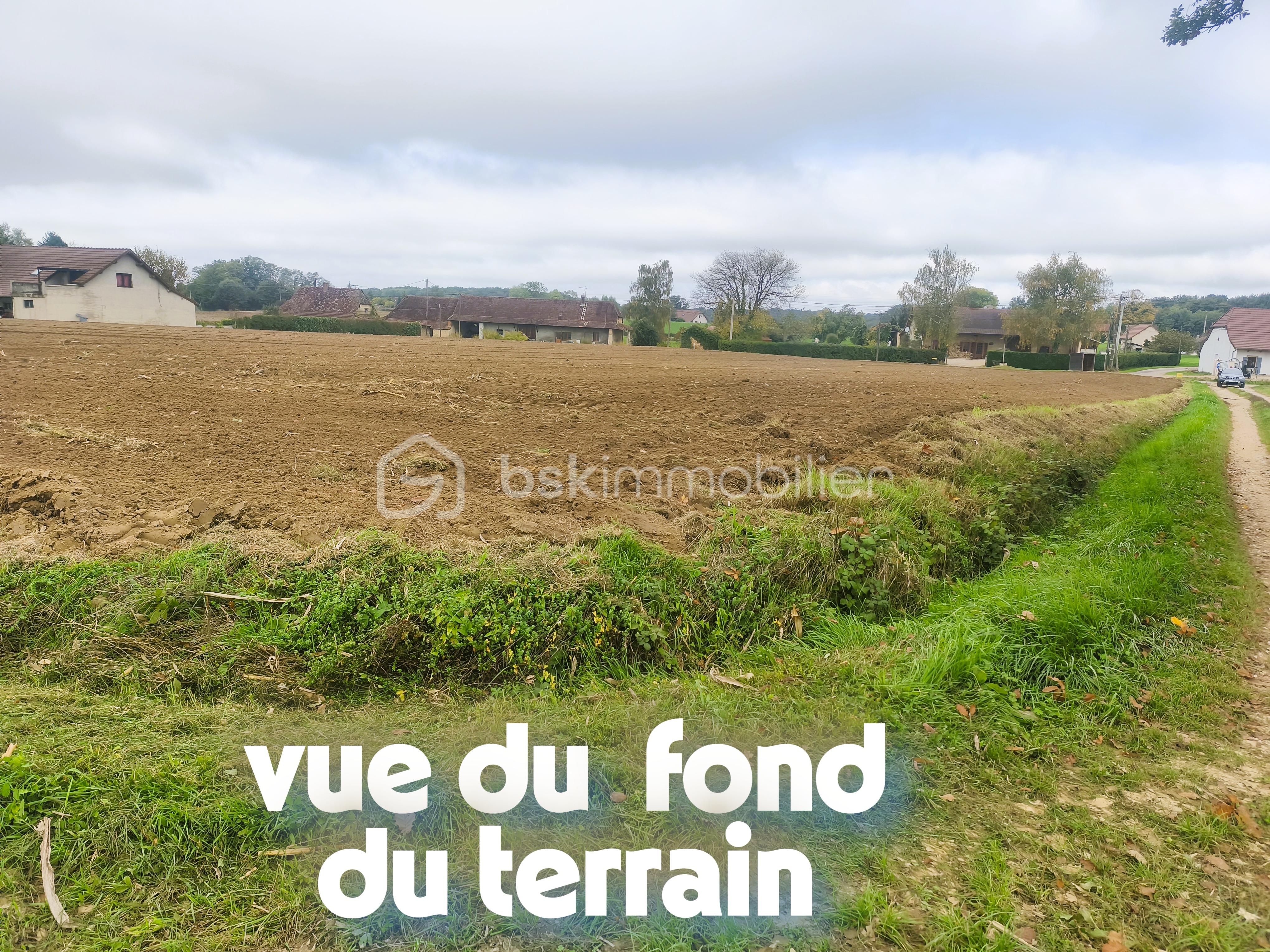 Terrain de 4 200 m² - IMG_20251010_112456.jpg