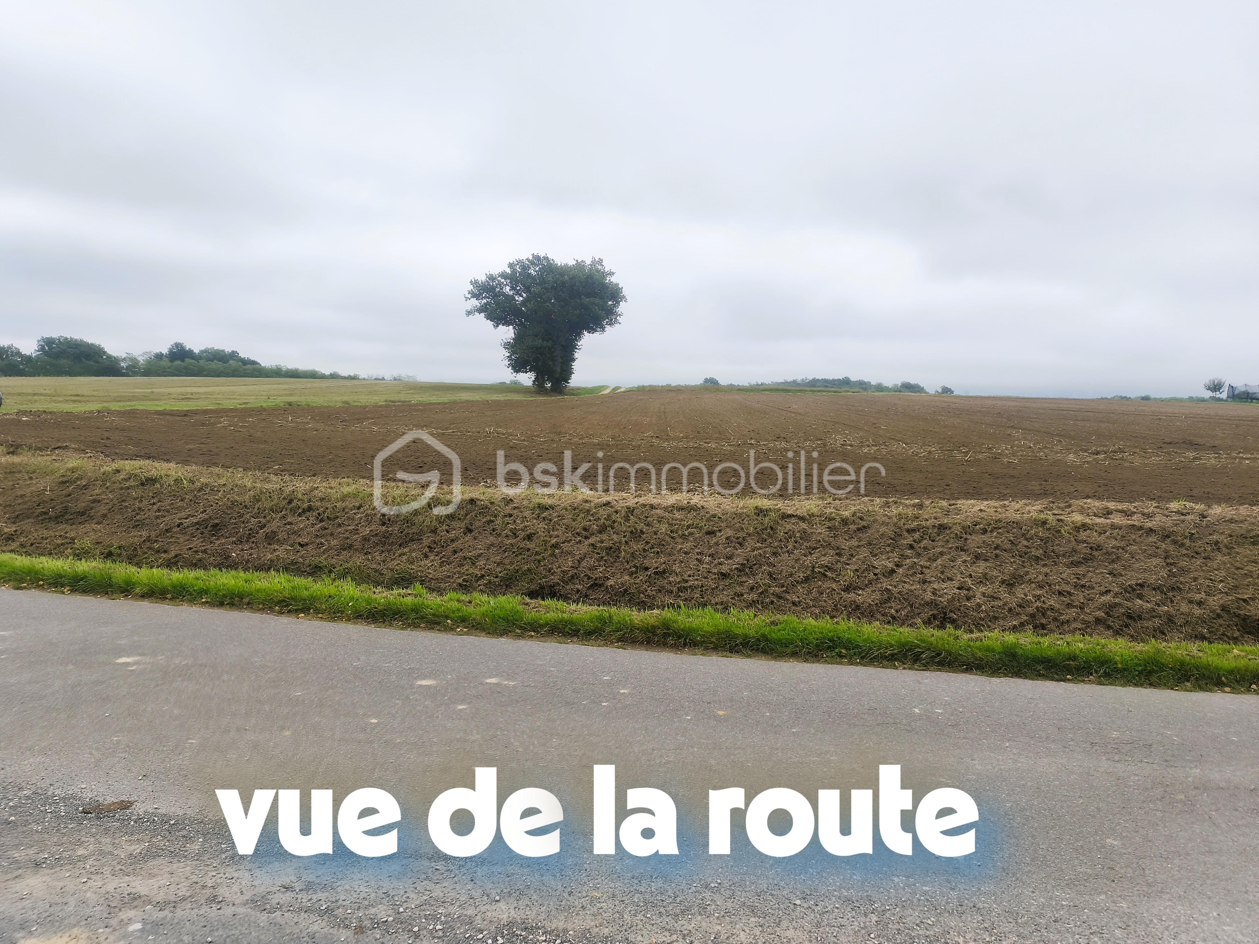 Terrain de 4 200 m² - IMG_20251010_112141.jpg