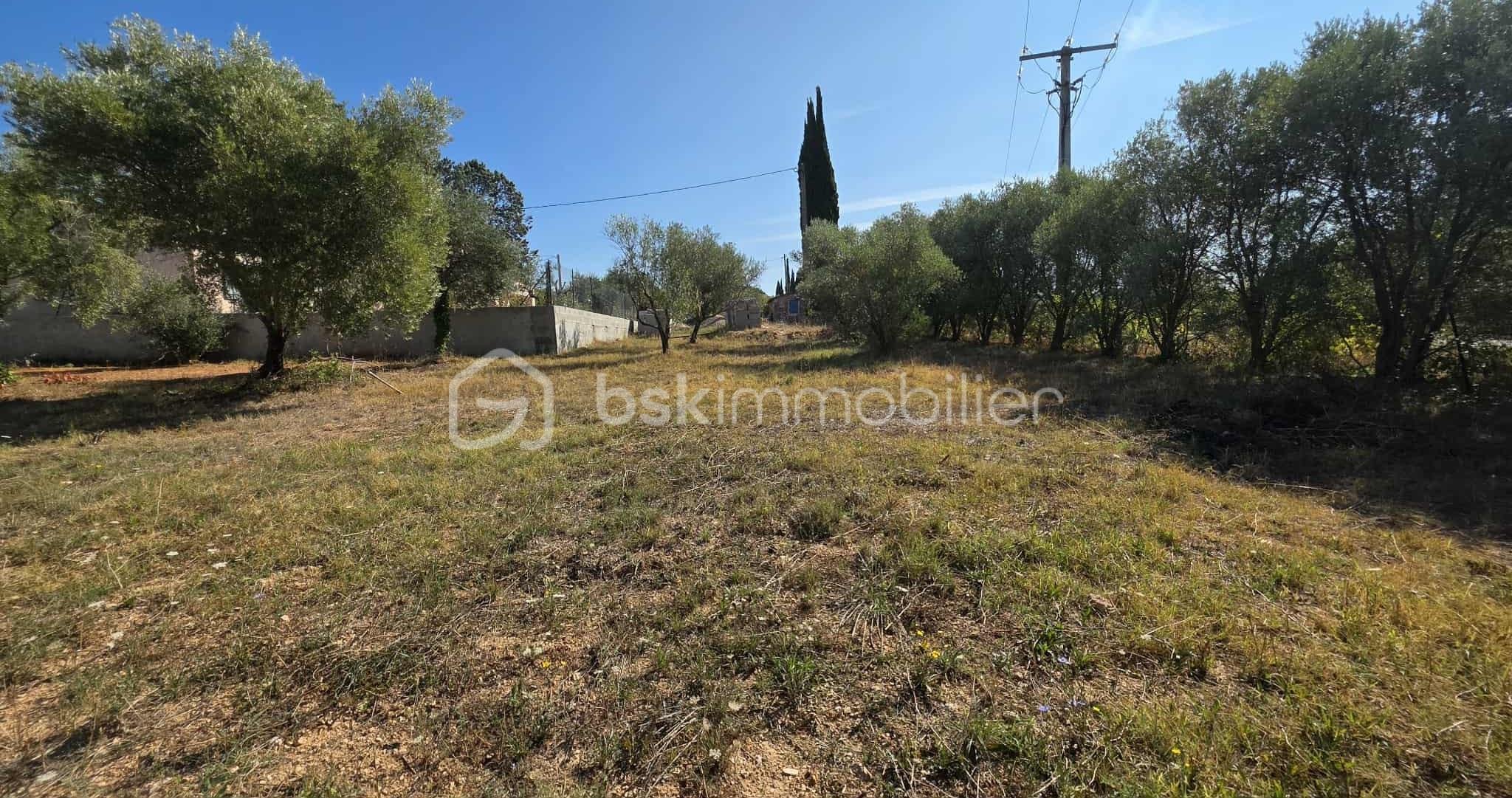 Terrain de 1 345 m² - 9.jpg