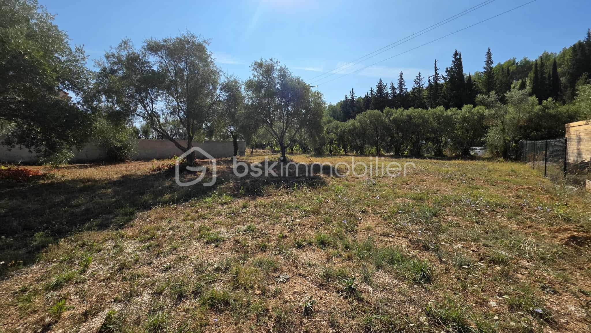 Terrain de 1 345 m² - 8f105353-2adb-4eda-a702-4c6feb22ca19.jpg