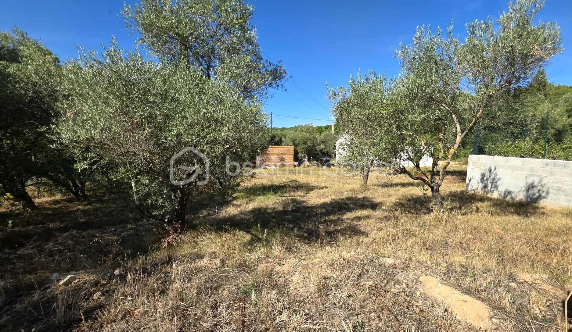 Terrain de 1 345 m² - 2.jpg