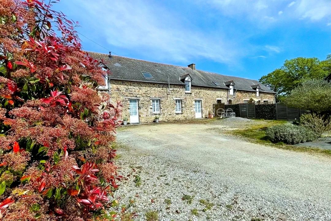 15.jpeg