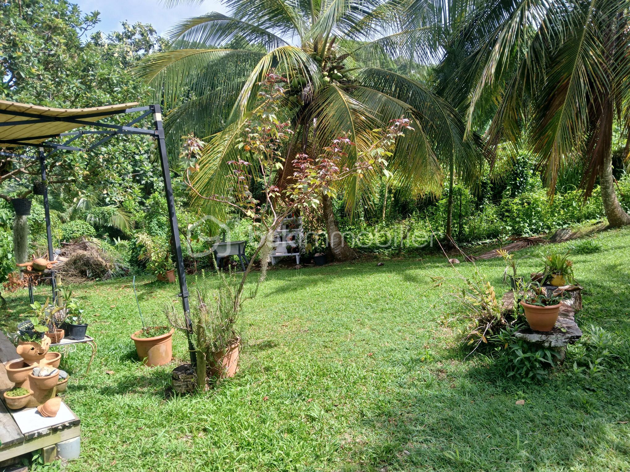 Jardin.jpg