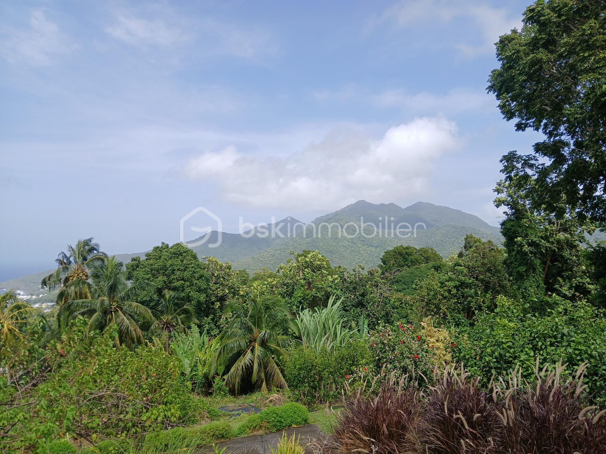 Mer et Mont Caraïbes.jpg