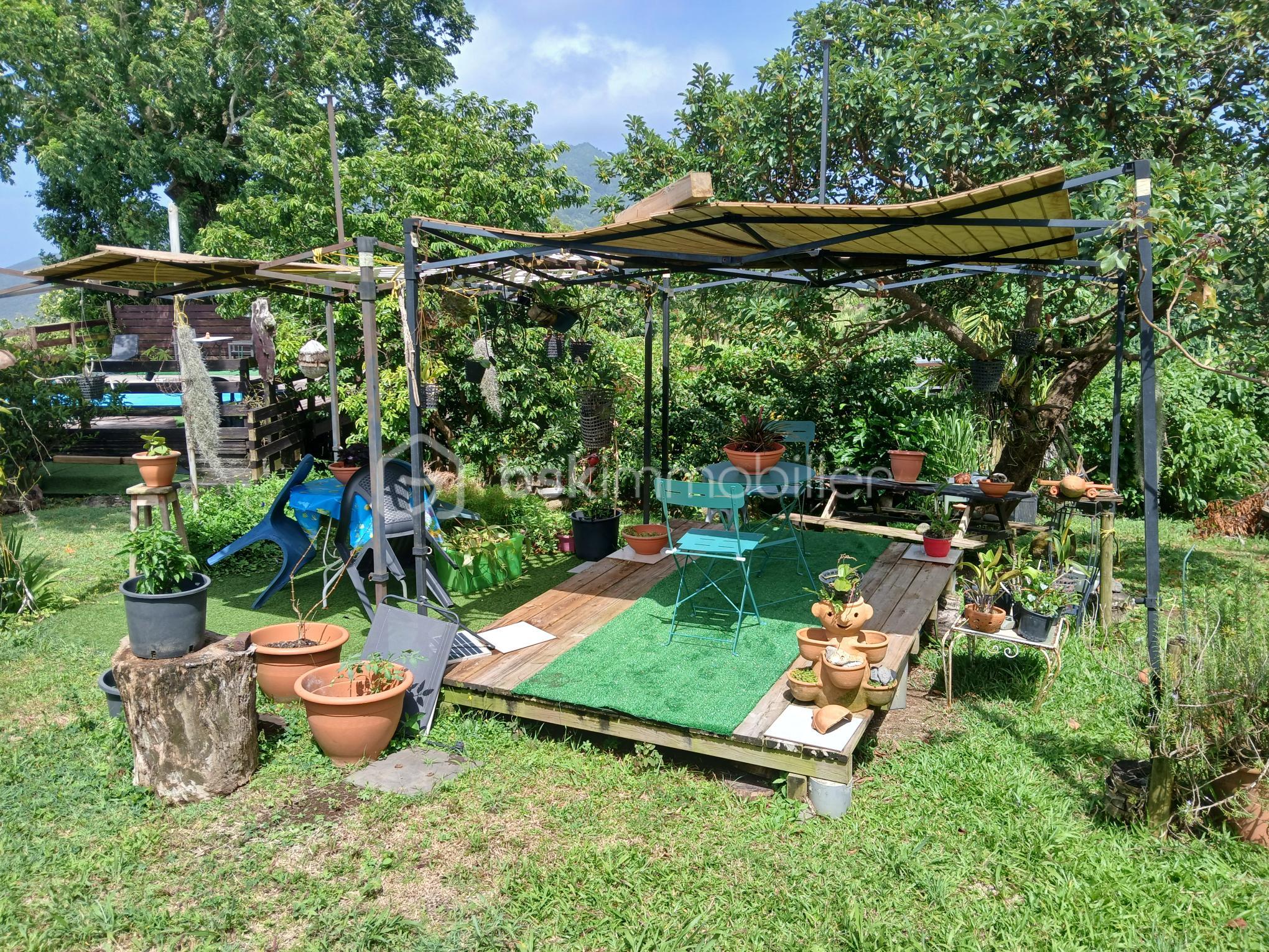 Carbet jardin.jpg