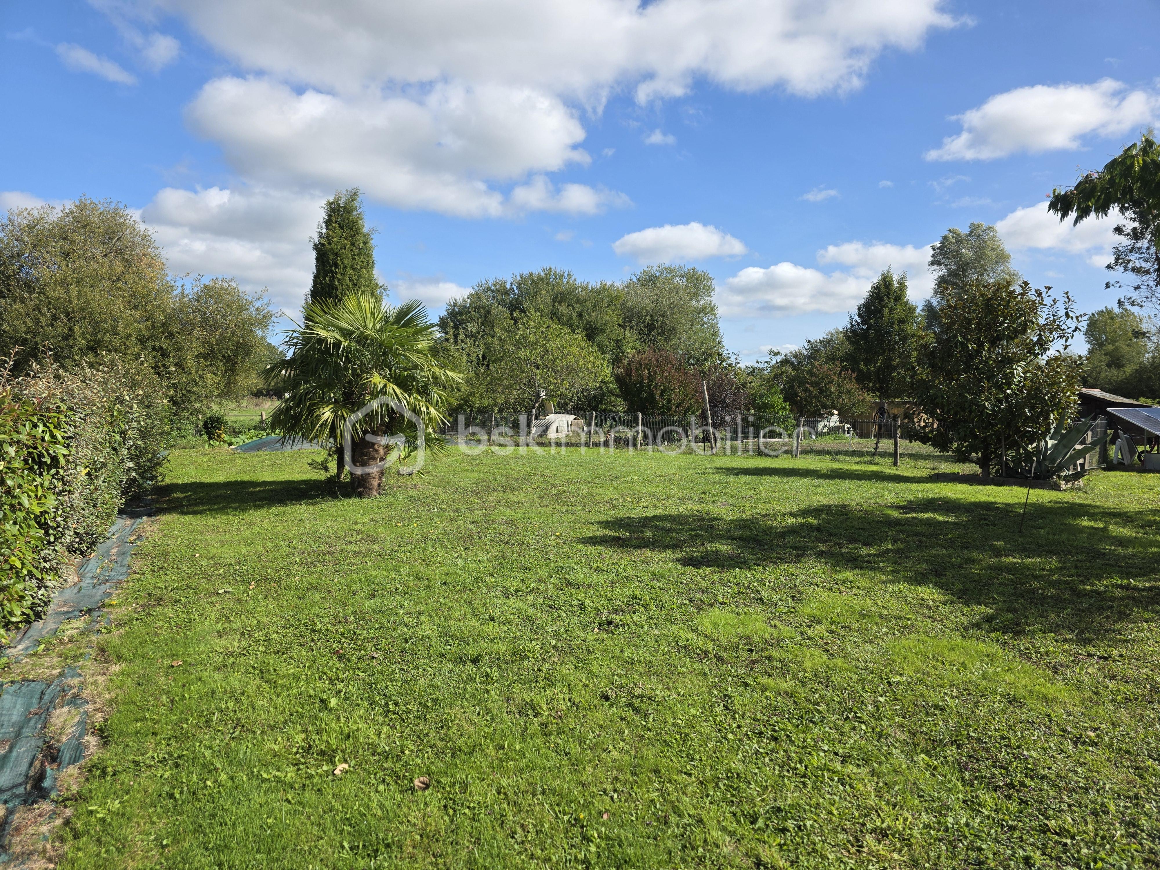 Terrain de 1 407 m² - 1000002769.jpg