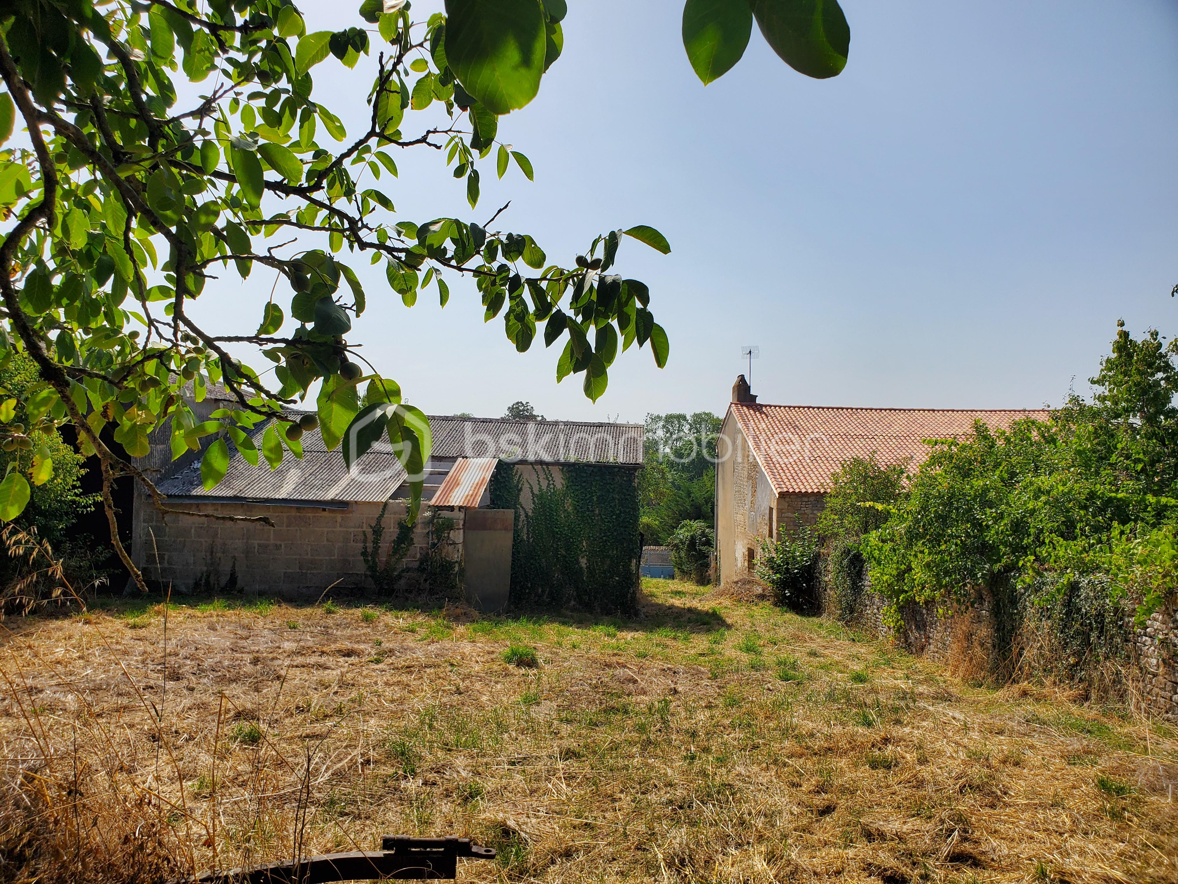 Maison en pierre de 110 m² - 20250812_113154.jpg