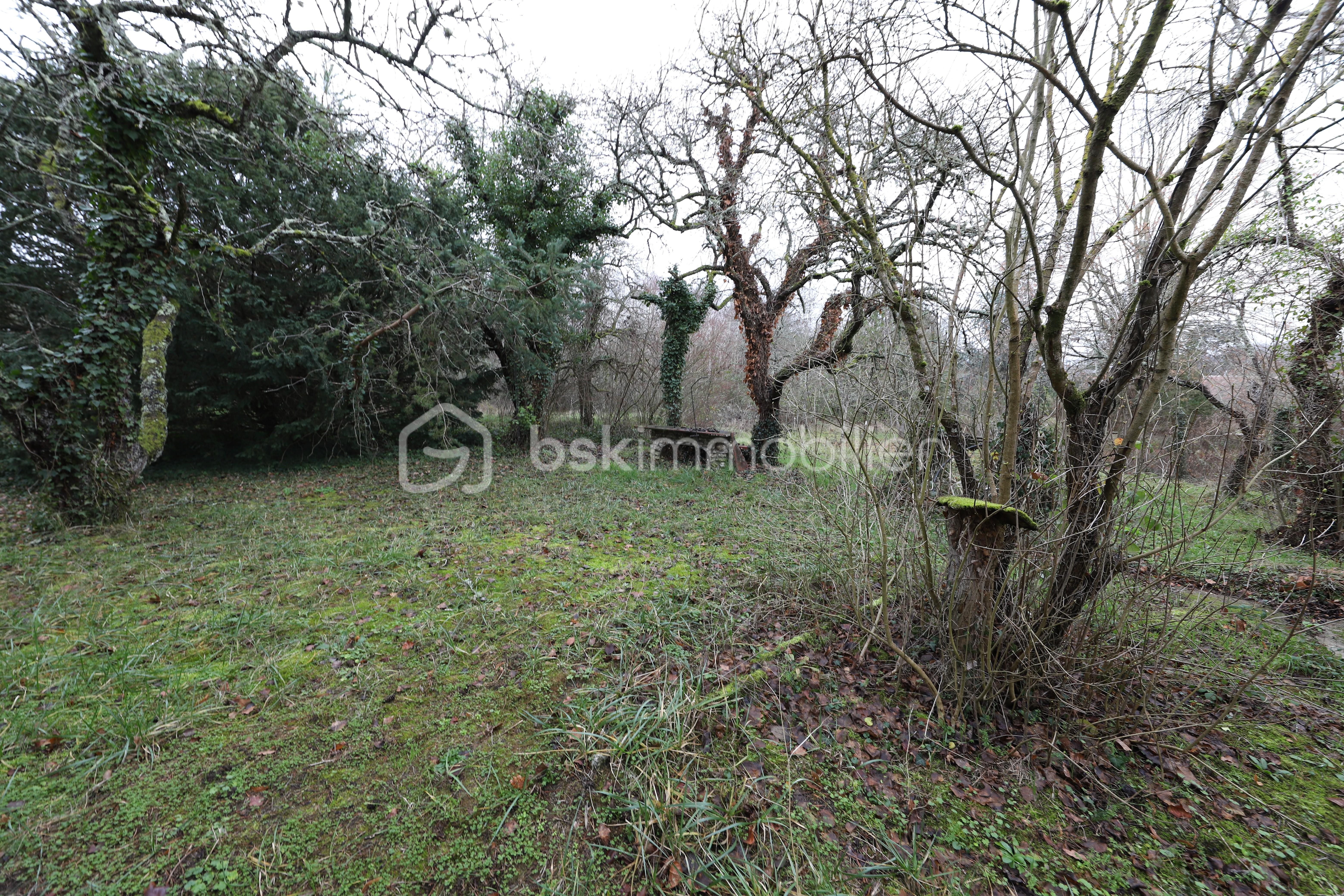 Maison ancienne de 108 m² - IMG_0906.jpg