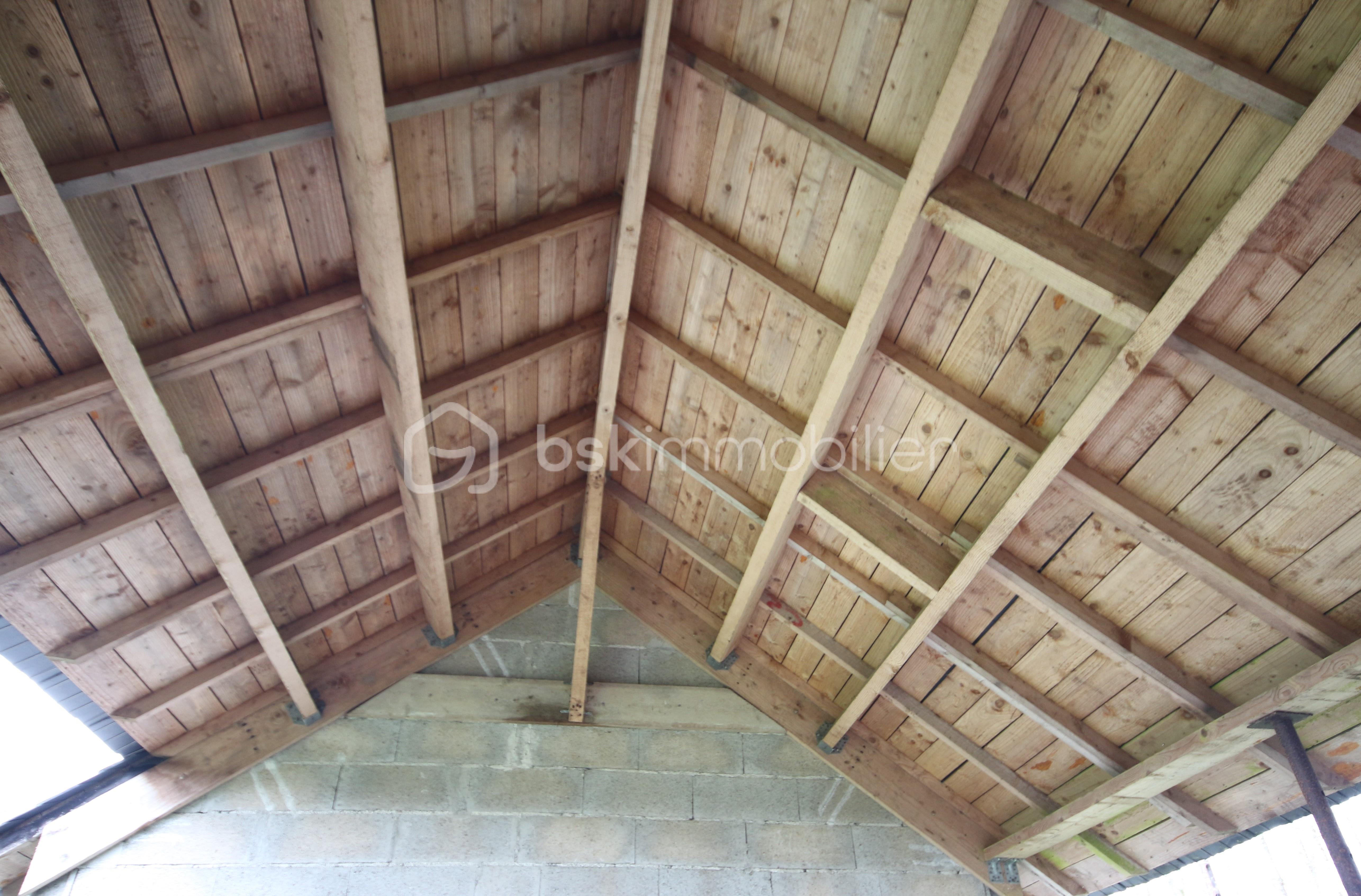 Terrain de 253 m² - Charpente.JPG