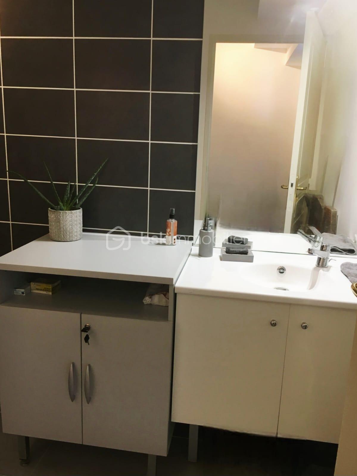 Appartement de 45,12 m² - sdb2.jpg