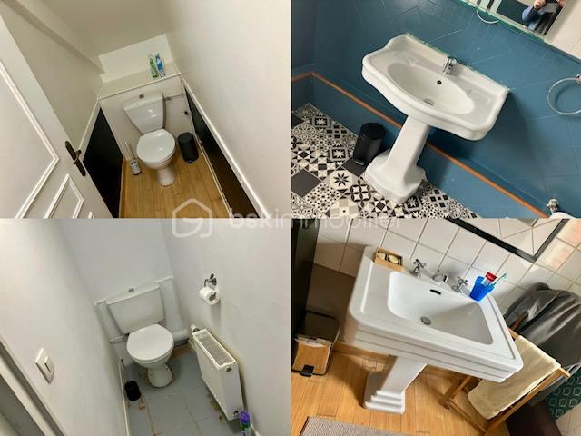 olivier amalgame vasques et wc.jpg