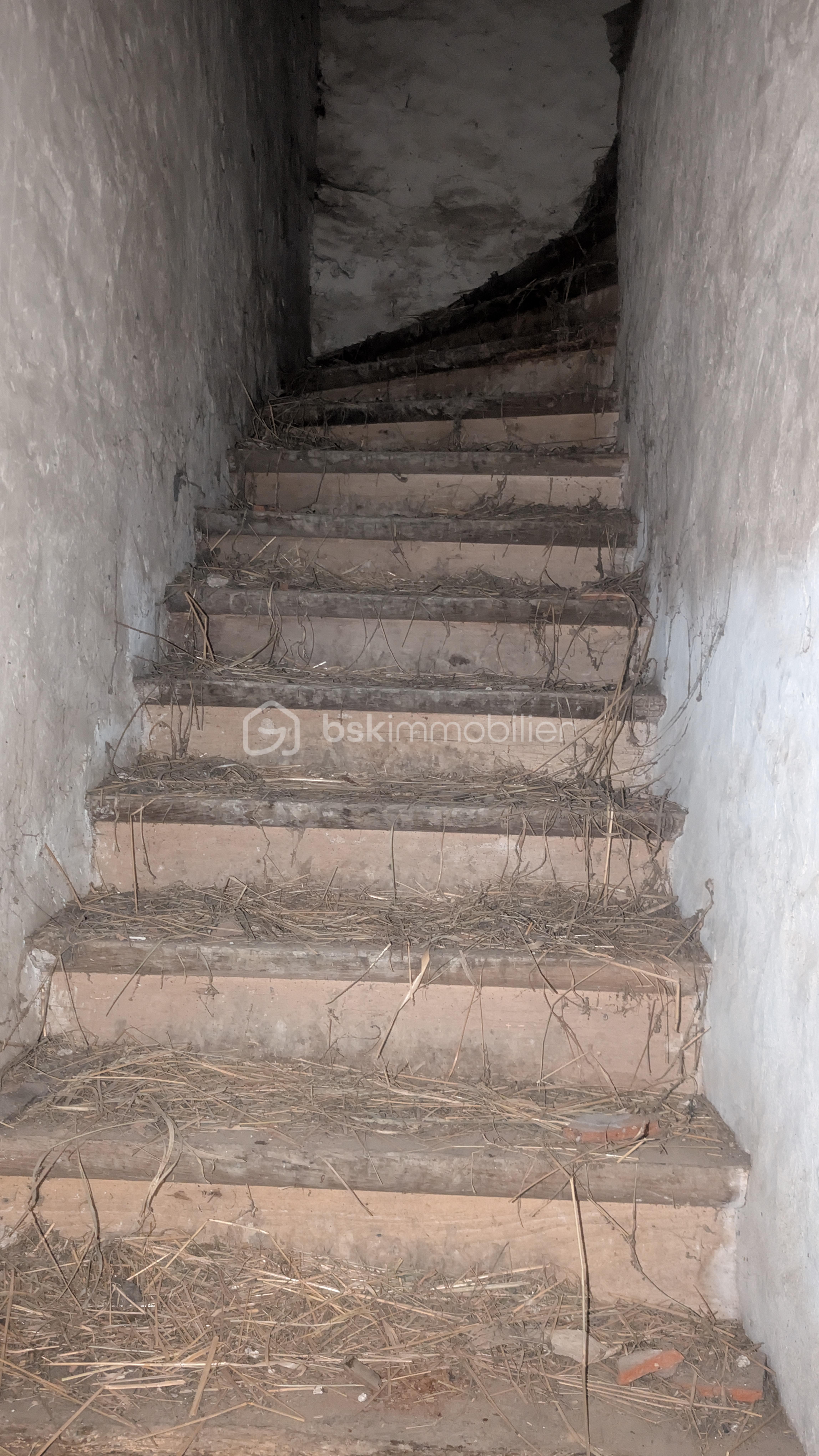 Corps de ferme de 90 m² - PXL_20251106_093651043.jpg