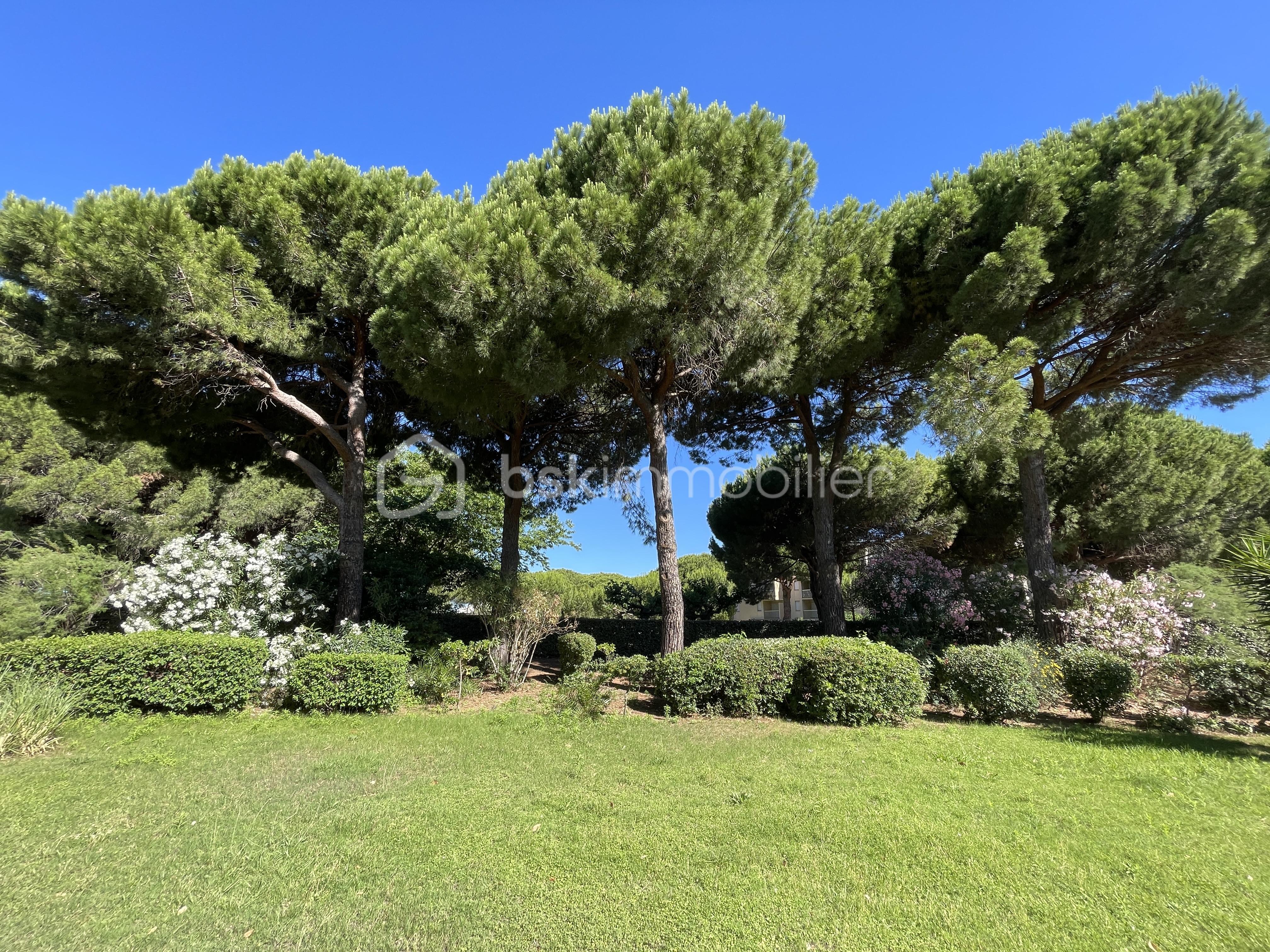 Appartement de 23,68 m² - 87F16C08-EB40-4B54-8B69-5BF874AF466E.jpeg