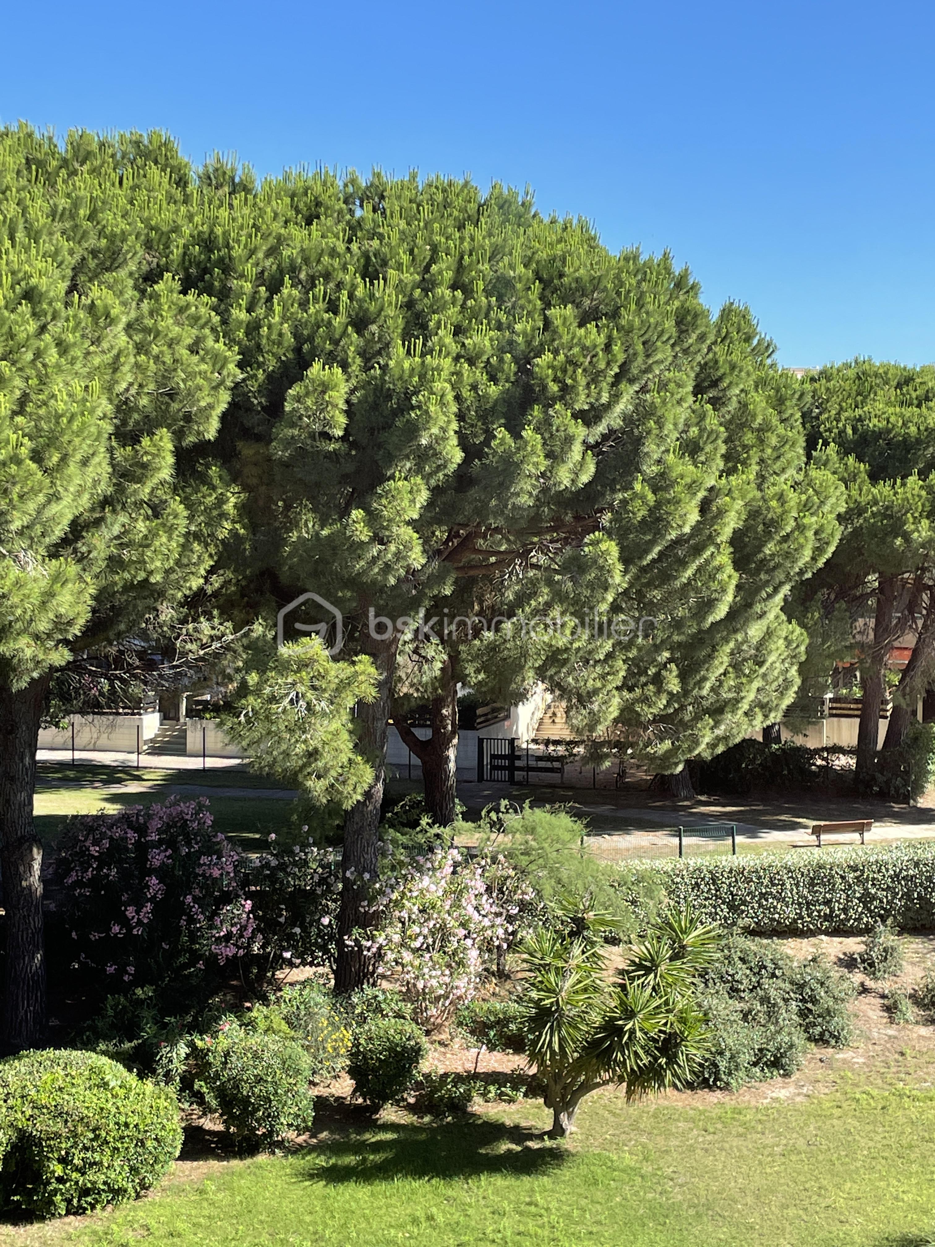 Appartement de 23,68 m² - 2D05BFF8-DE17-45B8-B3D2-56C9BFE8A2C3.jpeg