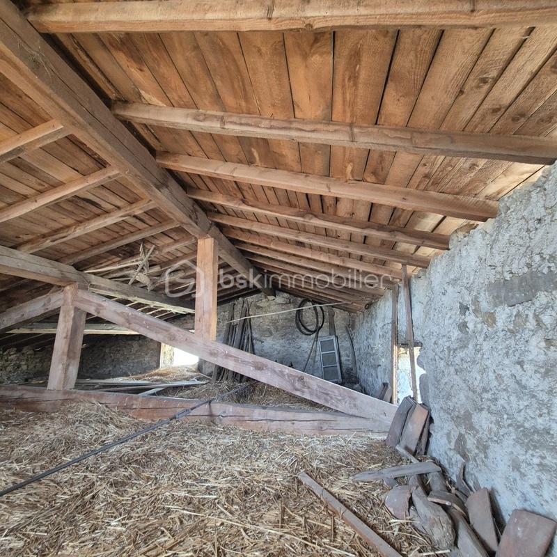 20260317_142029 (1).jpg