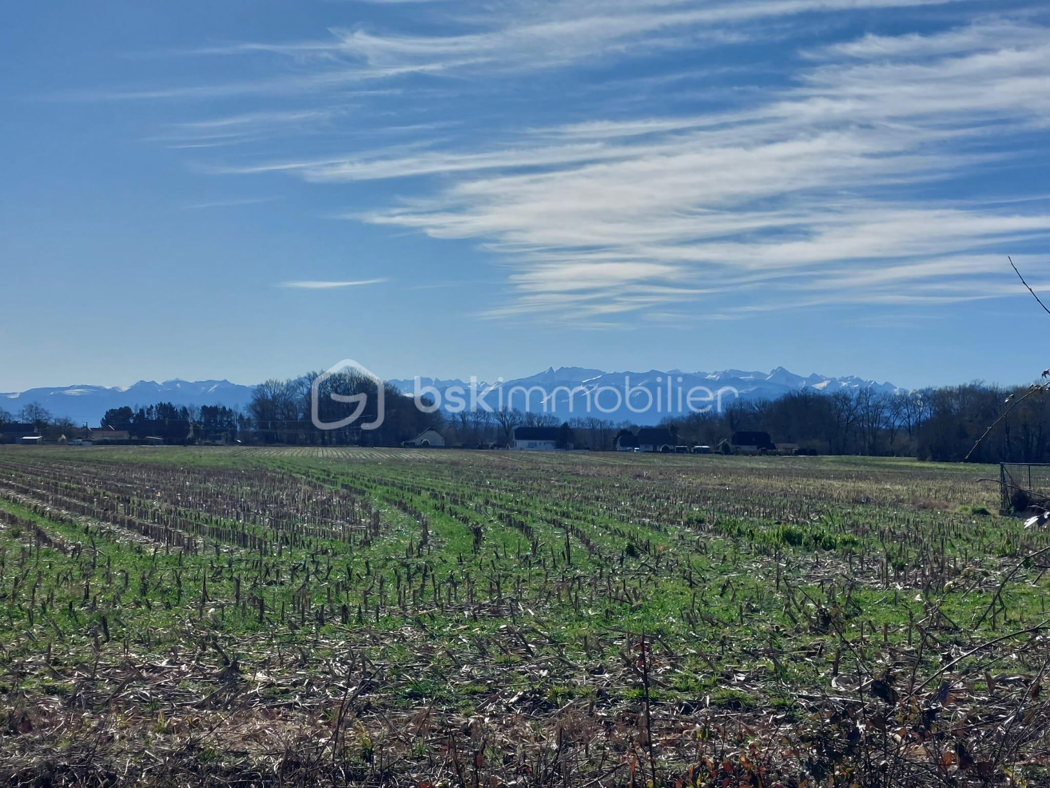 Maison traditionnelle de 140 m² - vue.jpeg