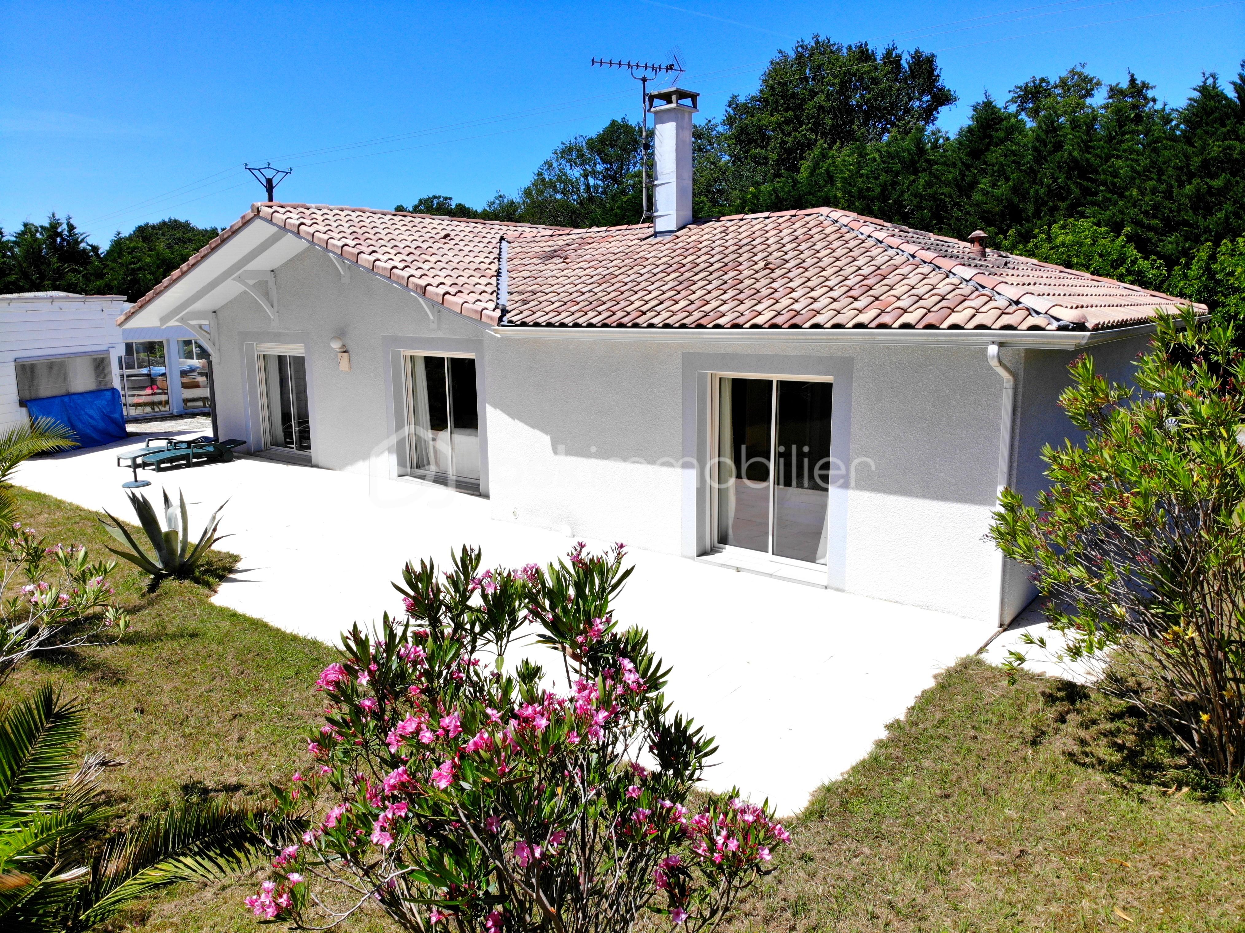 JARDIN 2.JPG