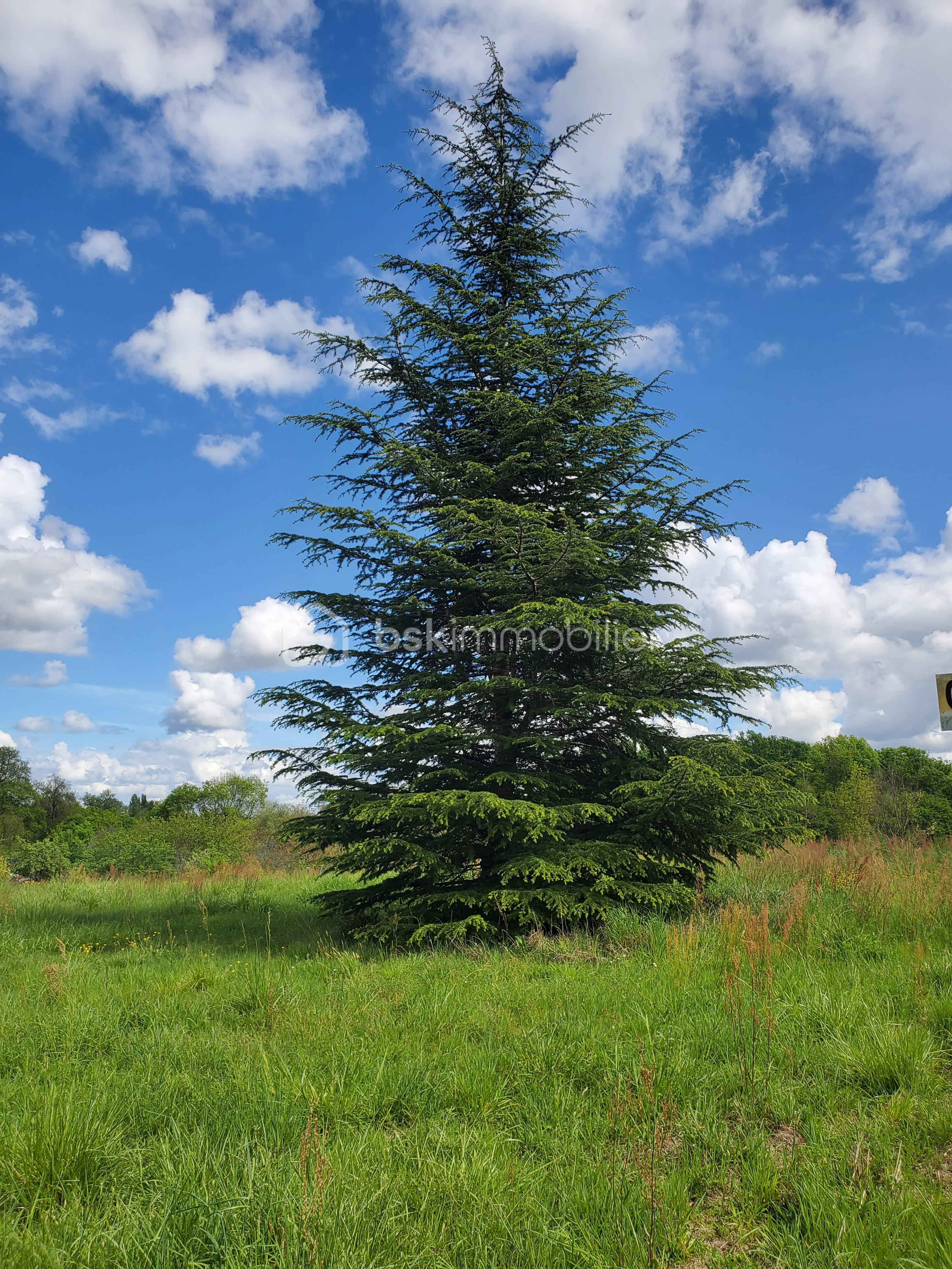 Terrain de 3 560 m² - 20250416_145648.jpg