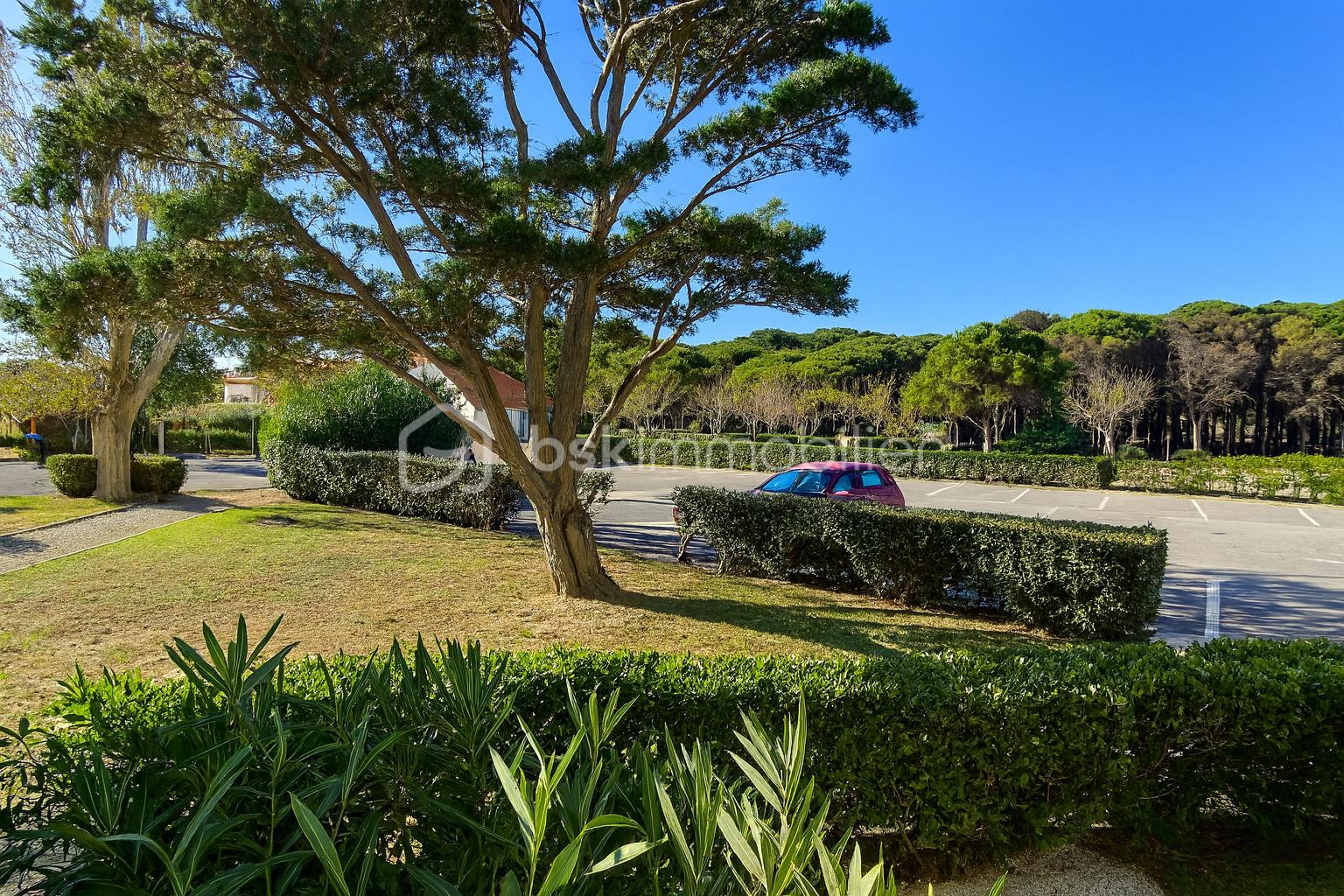 Appartement de 50 m² - ChatGPT Image Nov 23, 2025, 09_35_38 AM.png